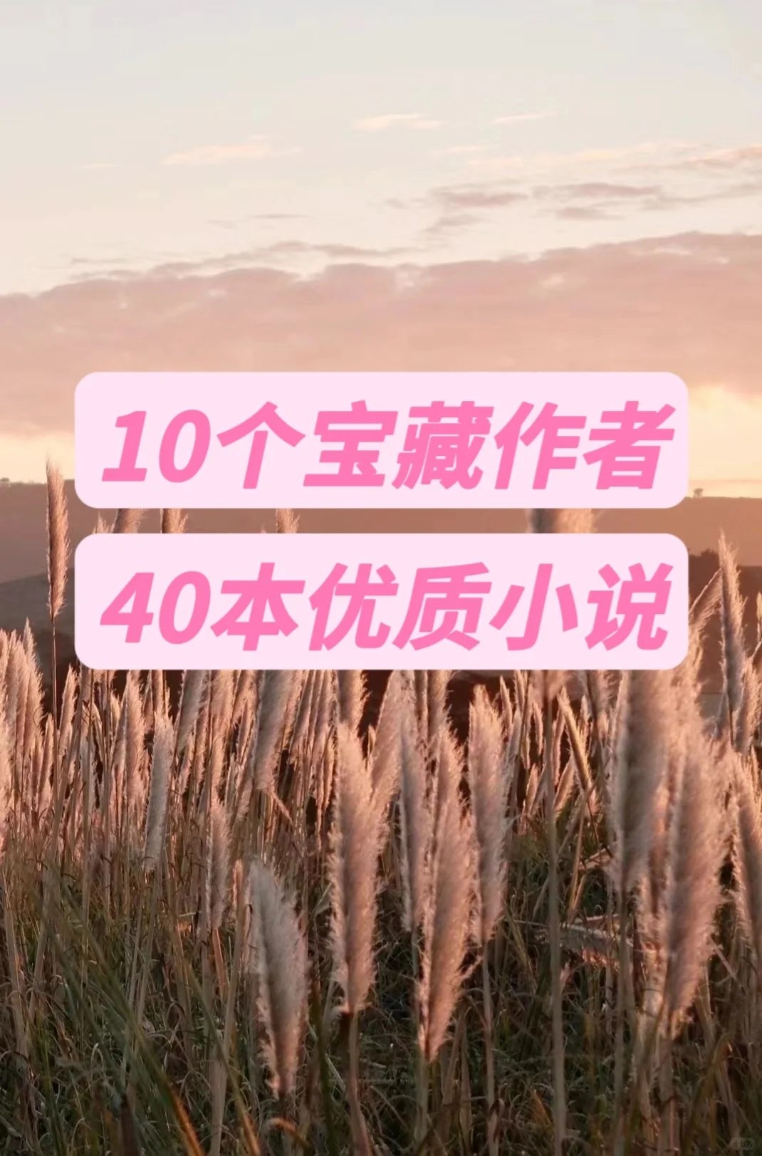 10个宝藏作者和40本高质量小说！