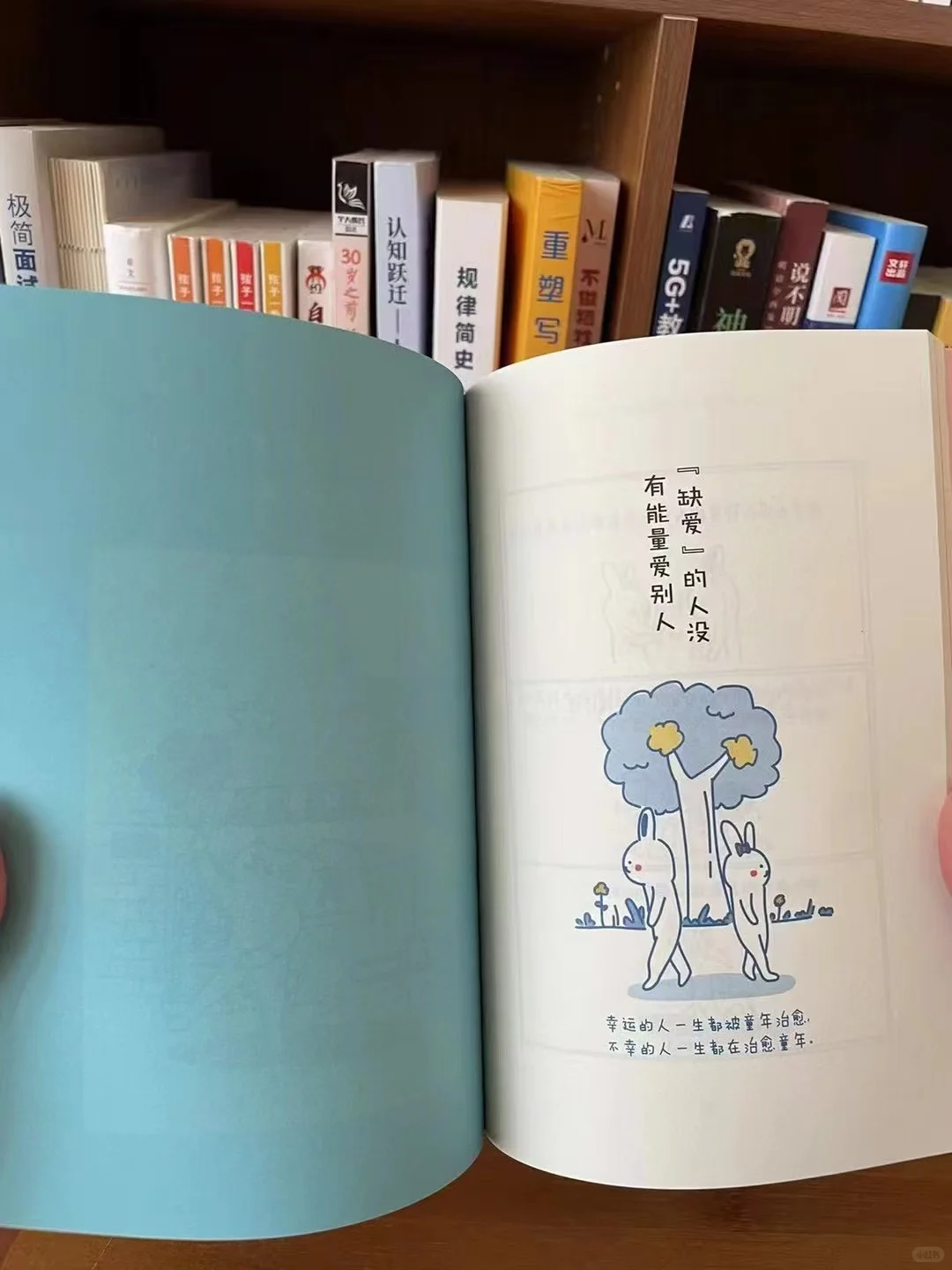 我出版的励志方向的书✅华文未来出版案例