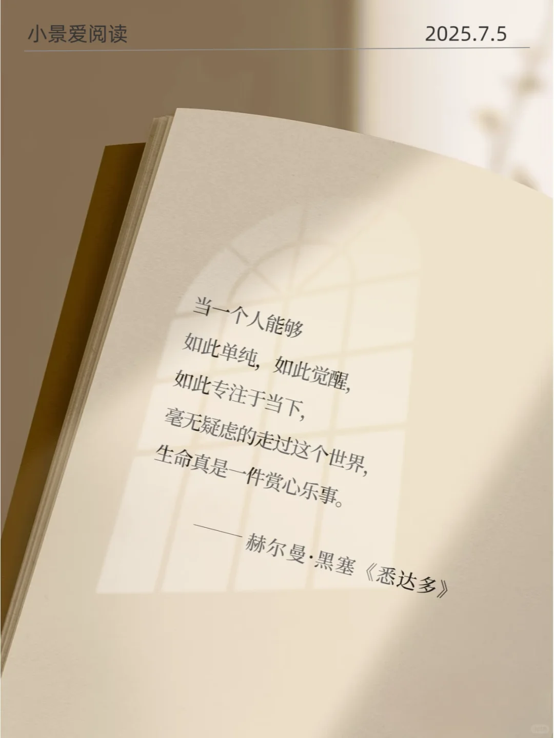 《悉达多》直击内心|对我的影响太大了