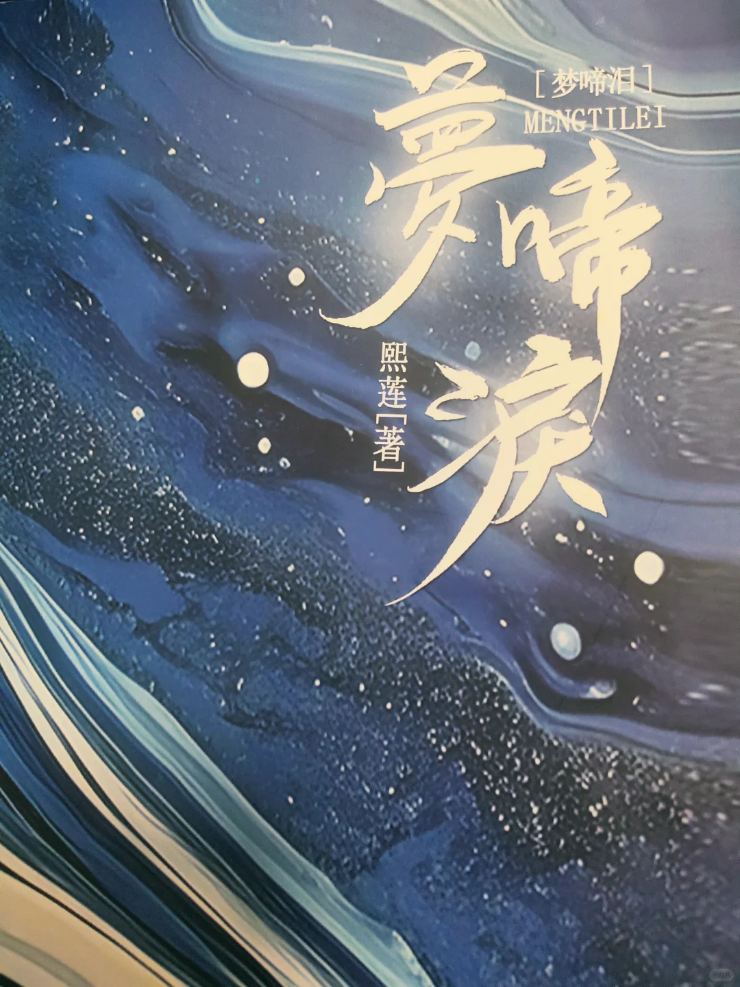 梦涕泪电子版1