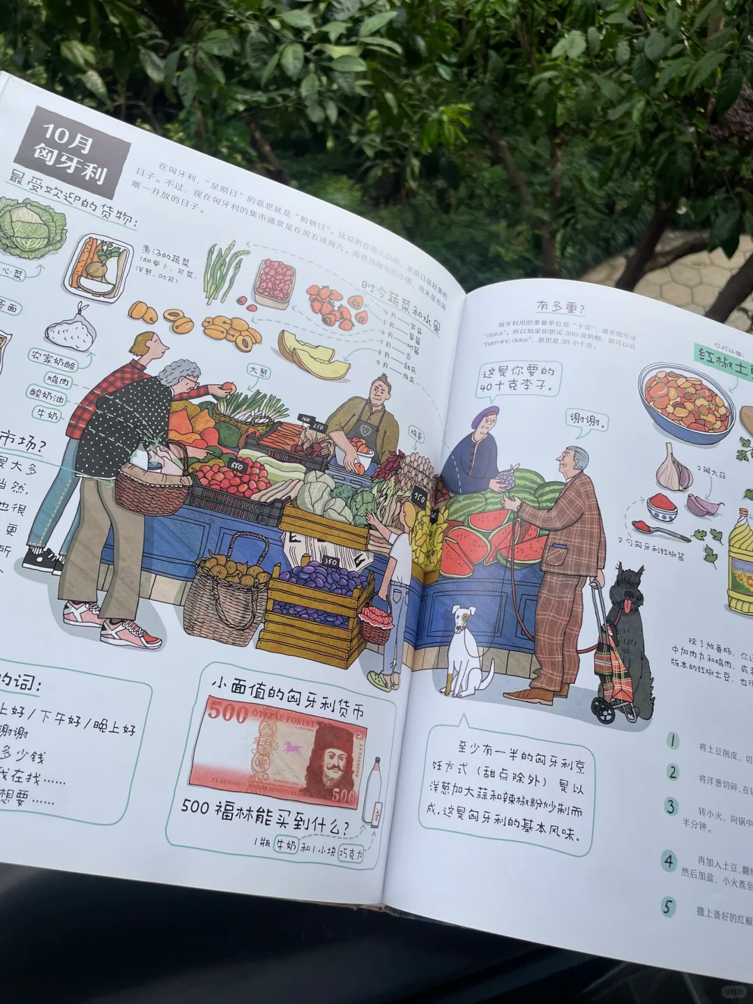 「每周一书」10 《24个菜市场的环球之旅》