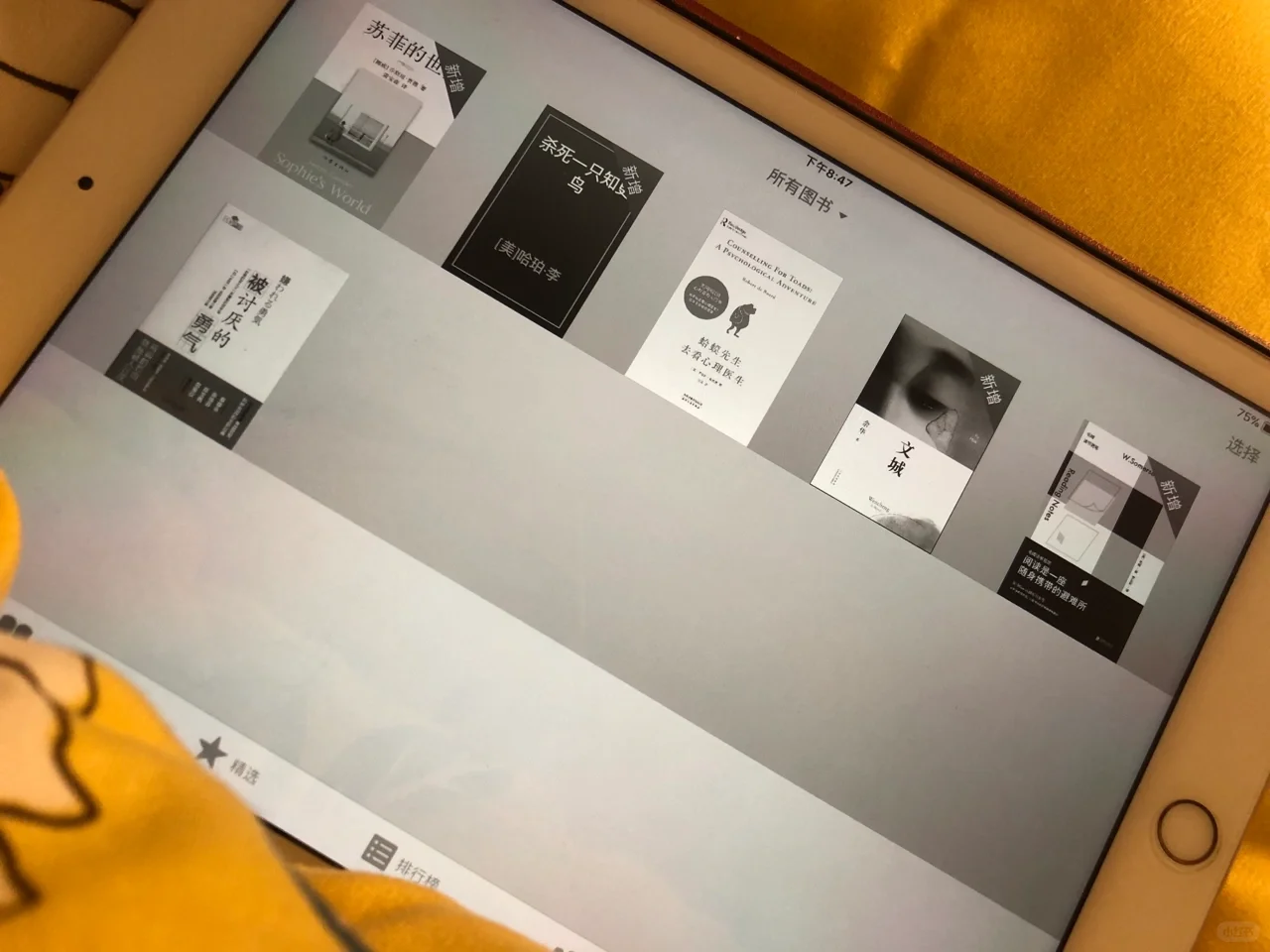 用ipad看书的神仙操作