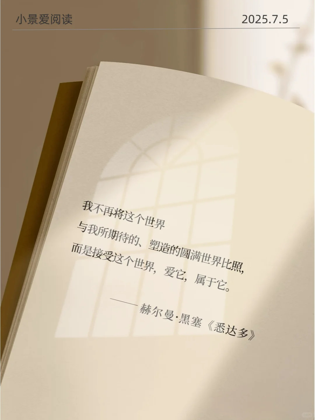 《悉达多》直击内心|对我的影响太大了