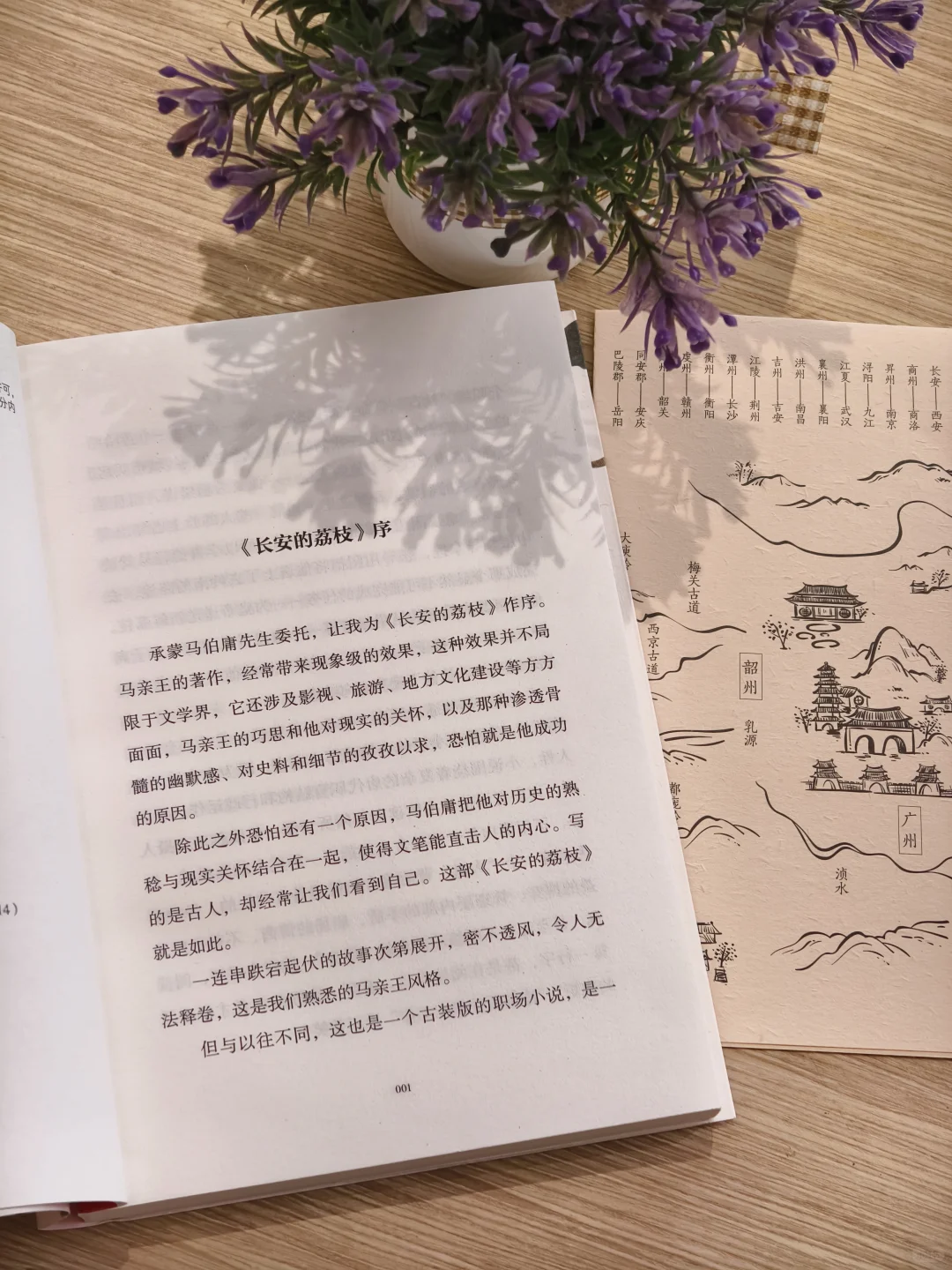 打工人必备书单｜大唐社畜辛酸泪😭