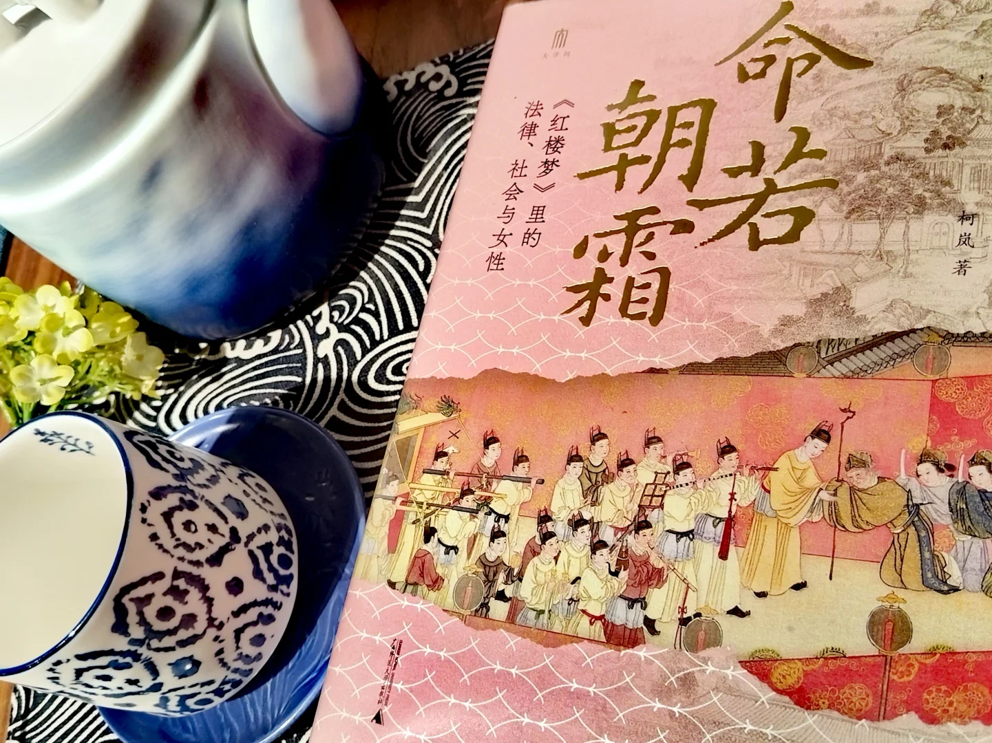 推荐一本书——《红楼梦》里命若朝霜的女子