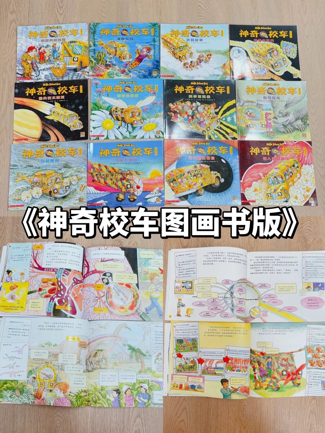 5-8岁桥梁书怎么选❓看这篇🔥