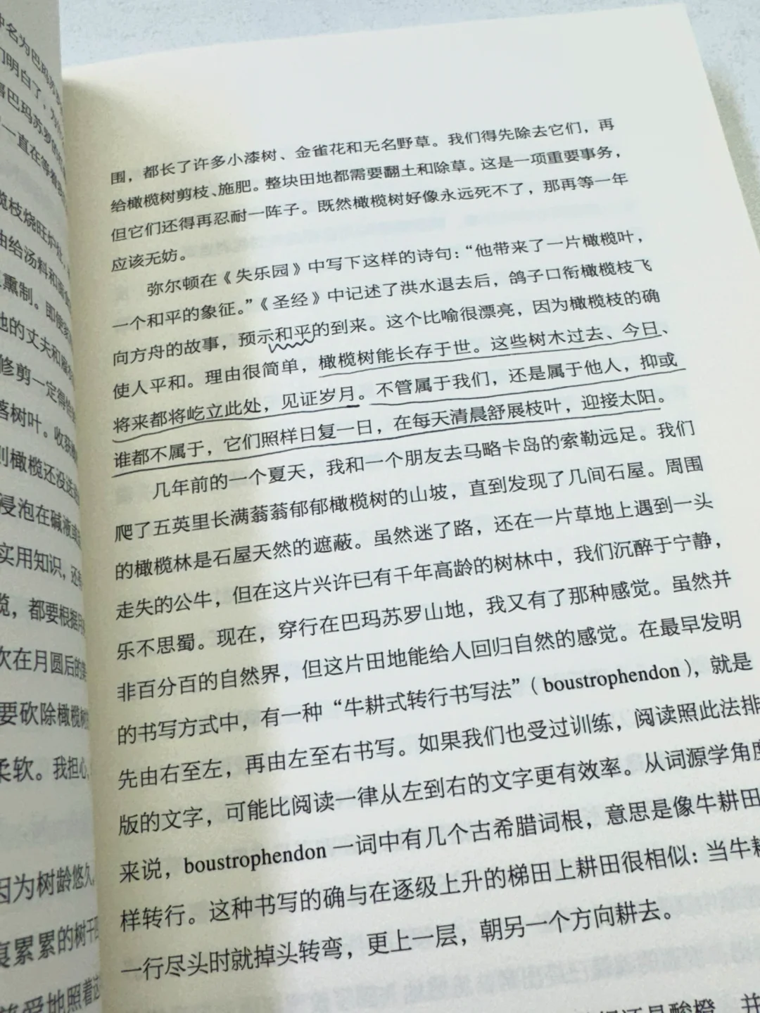今日办公室摸鱼书单📚（周四）
