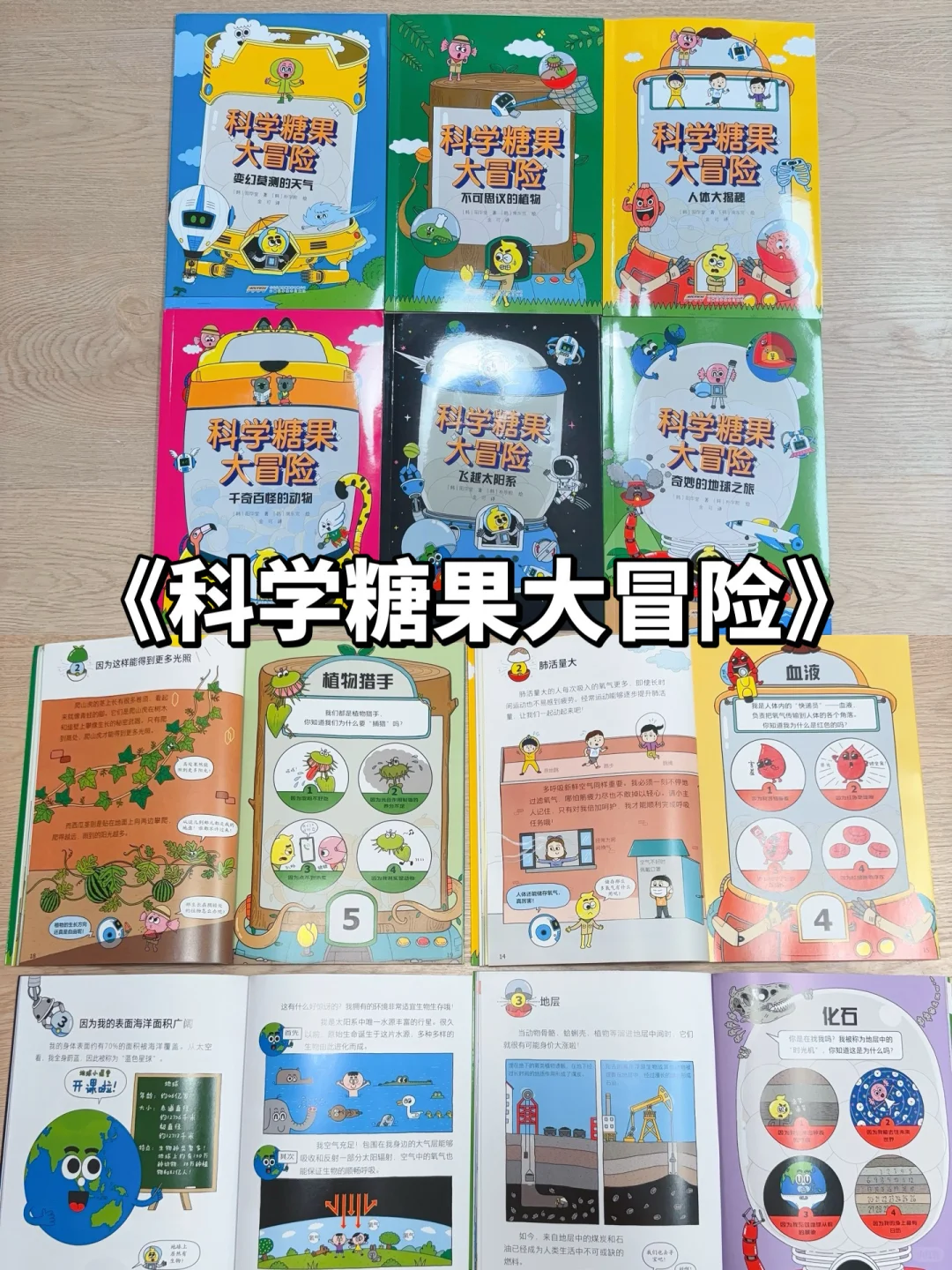 5-8岁桥梁书怎么选❓看这篇🔥