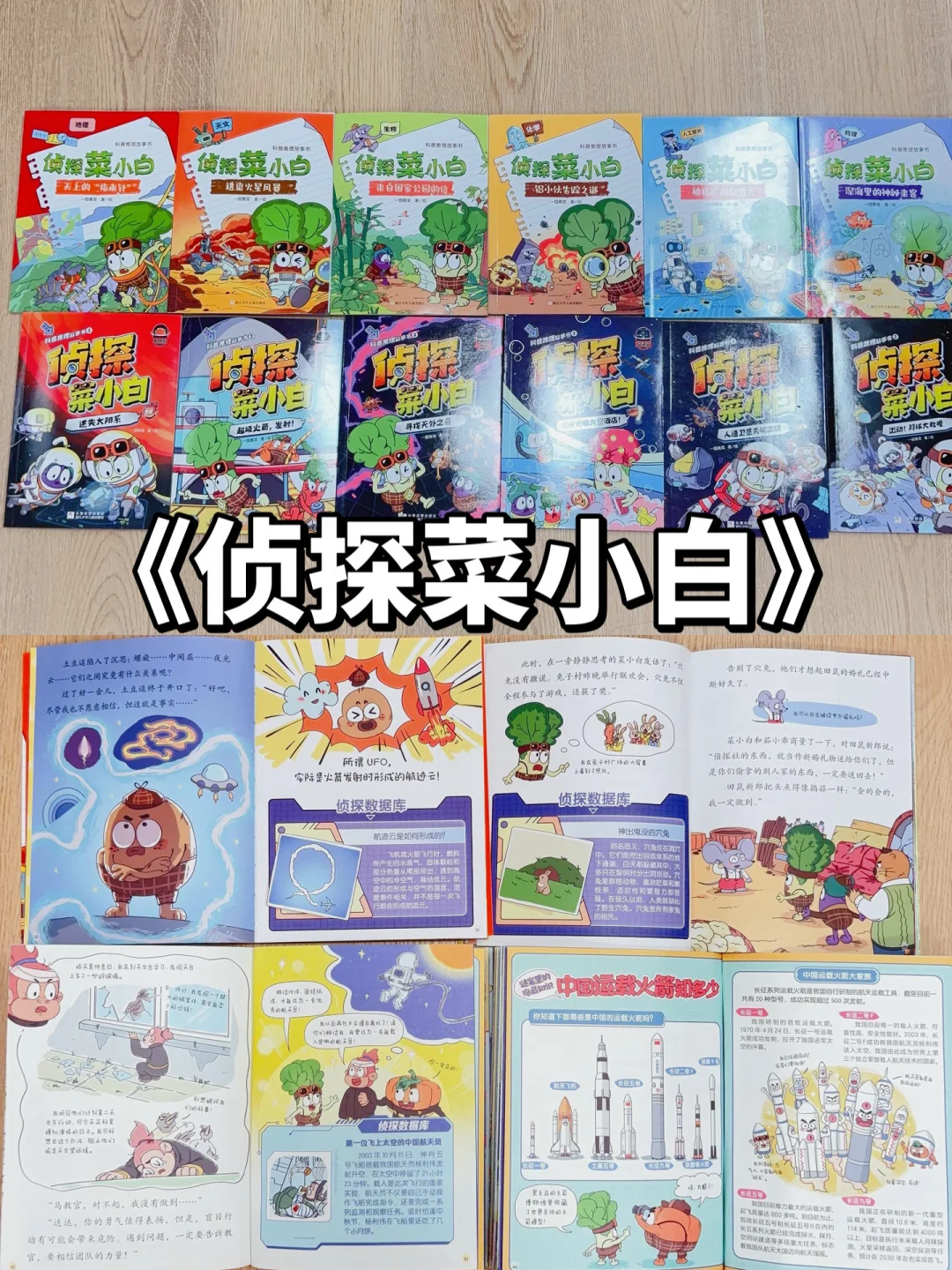 5-8岁桥梁书怎么选❓看这篇🔥