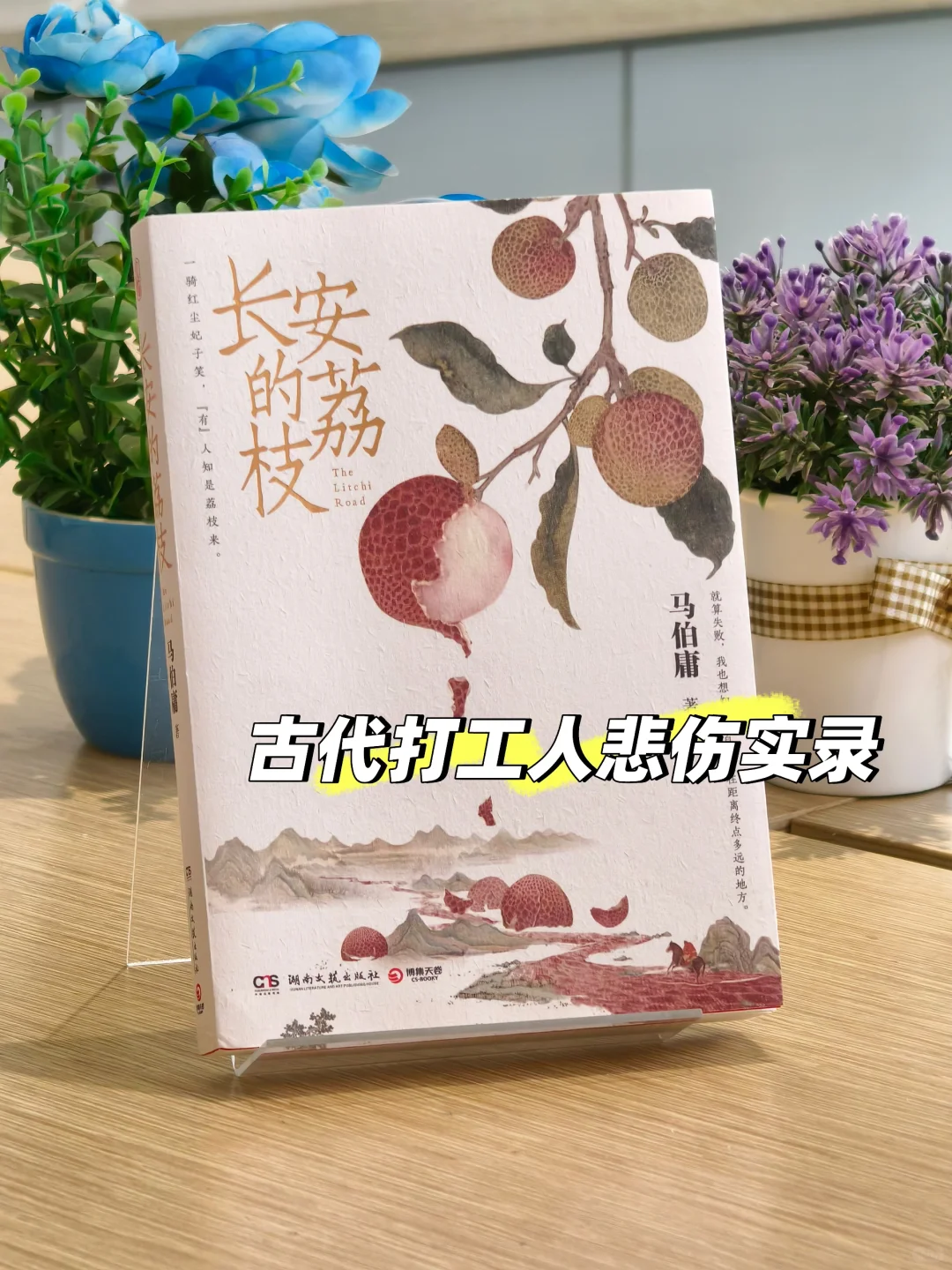 打工人必备书单｜大唐社畜辛酸泪😭