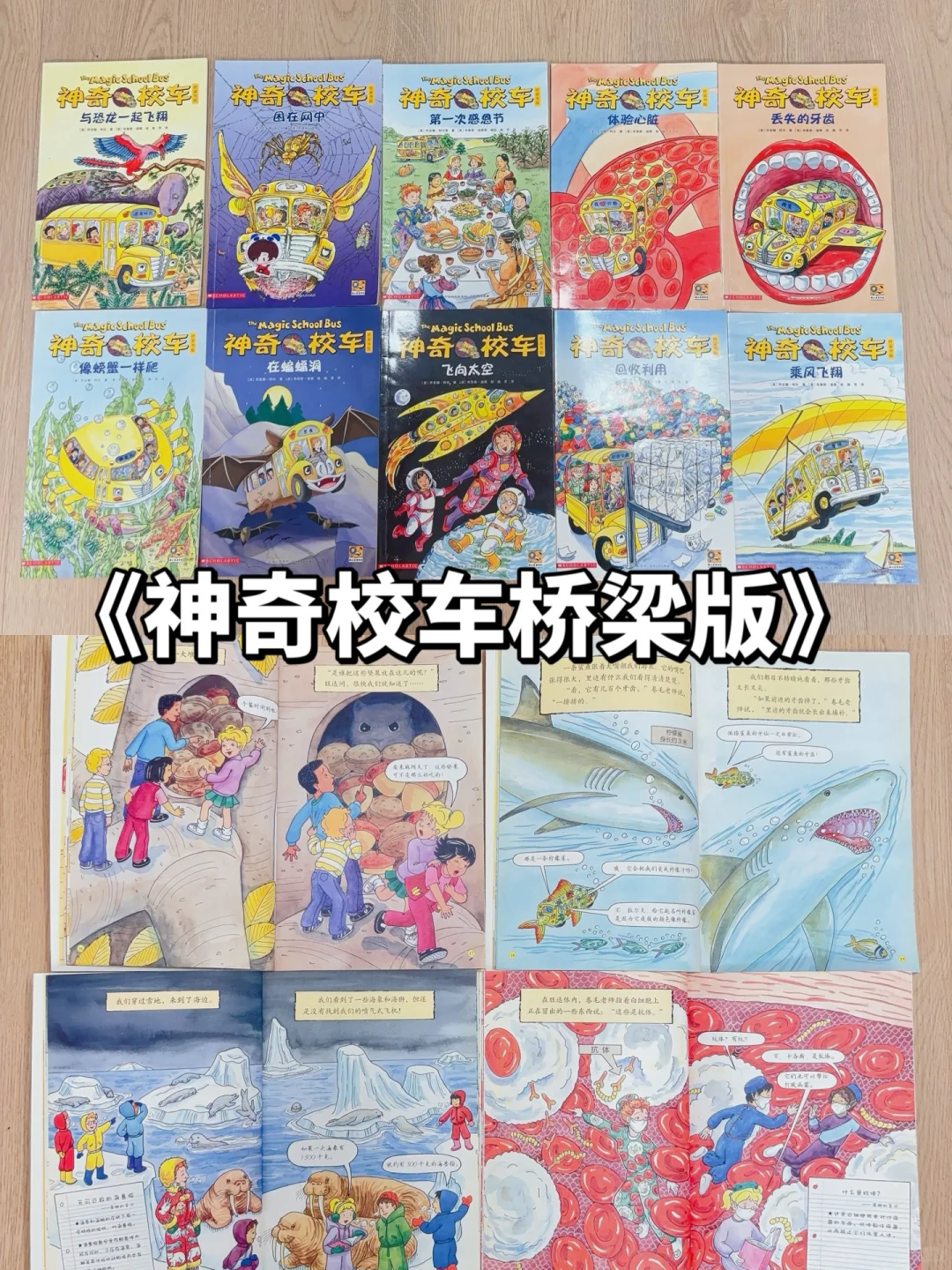 5-8岁桥梁书怎么选❓看这篇🔥