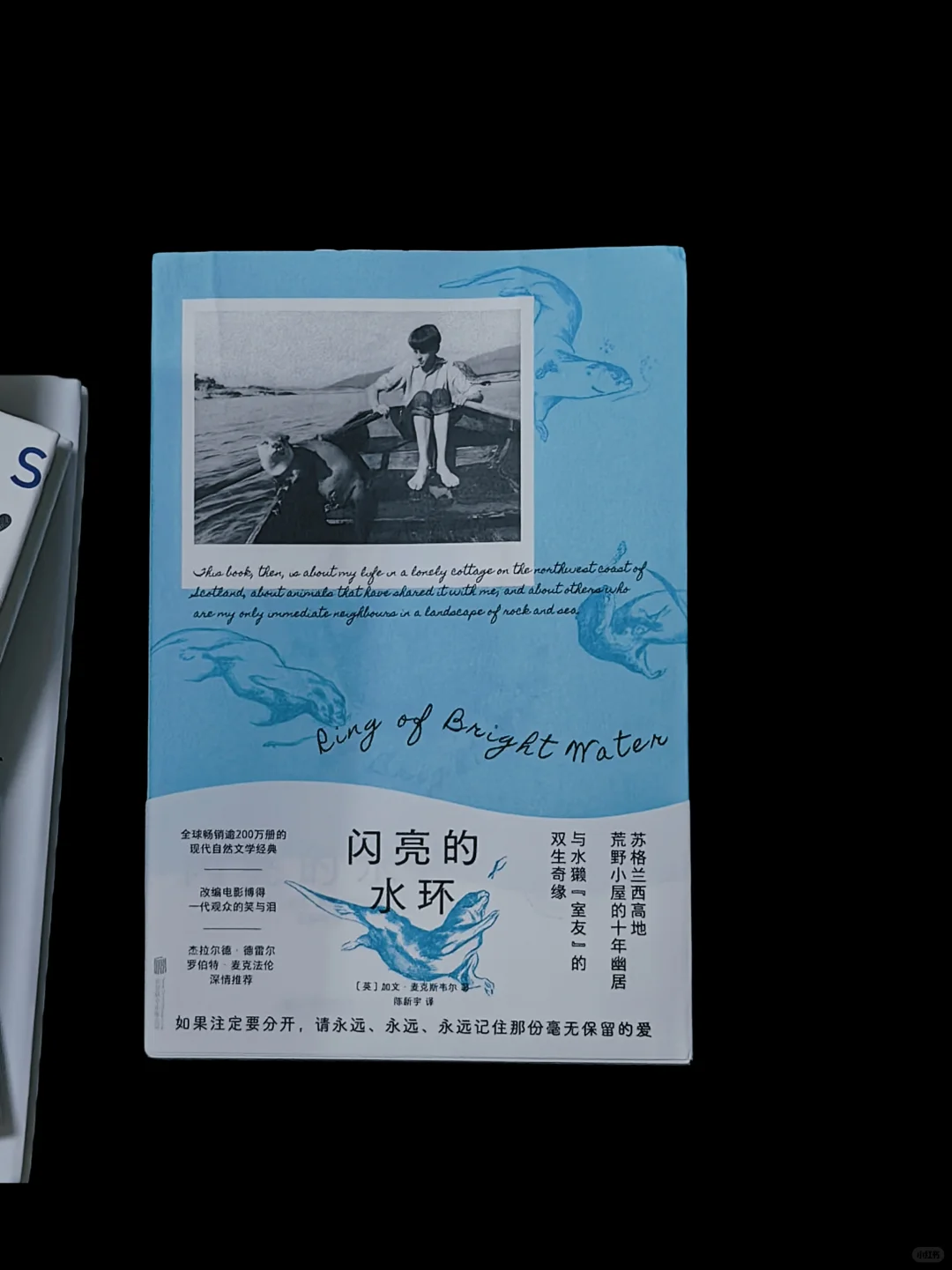 拆新书·🎁赠书｜横在夏天和秋天之间