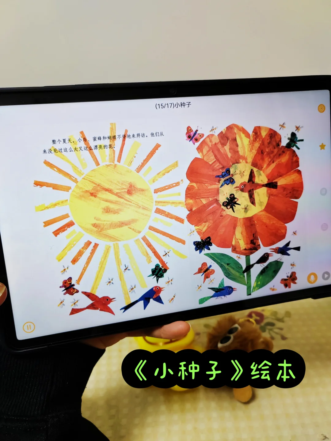 👀原来绘本还可以这样看！不花💰不费妈