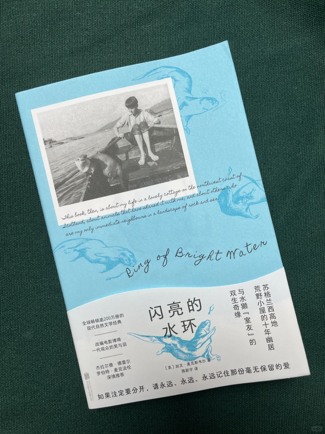 8月值得关注的一些新书