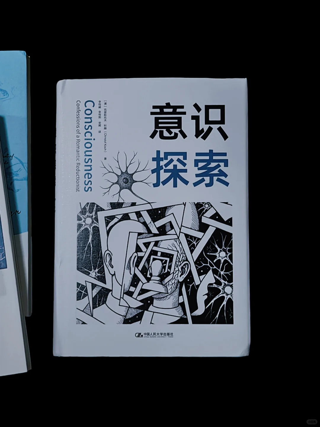 拆新书·🎁赠书｜横在夏天和秋天之间