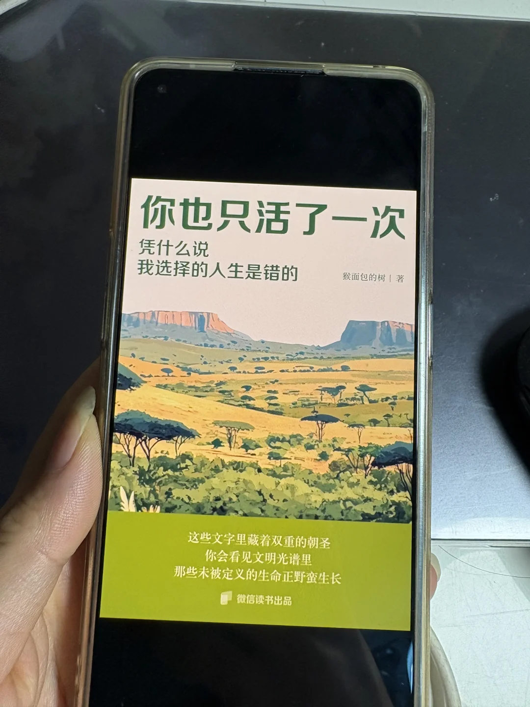 📱iPad变身移动图书馆！解锁2025阅读新姿势