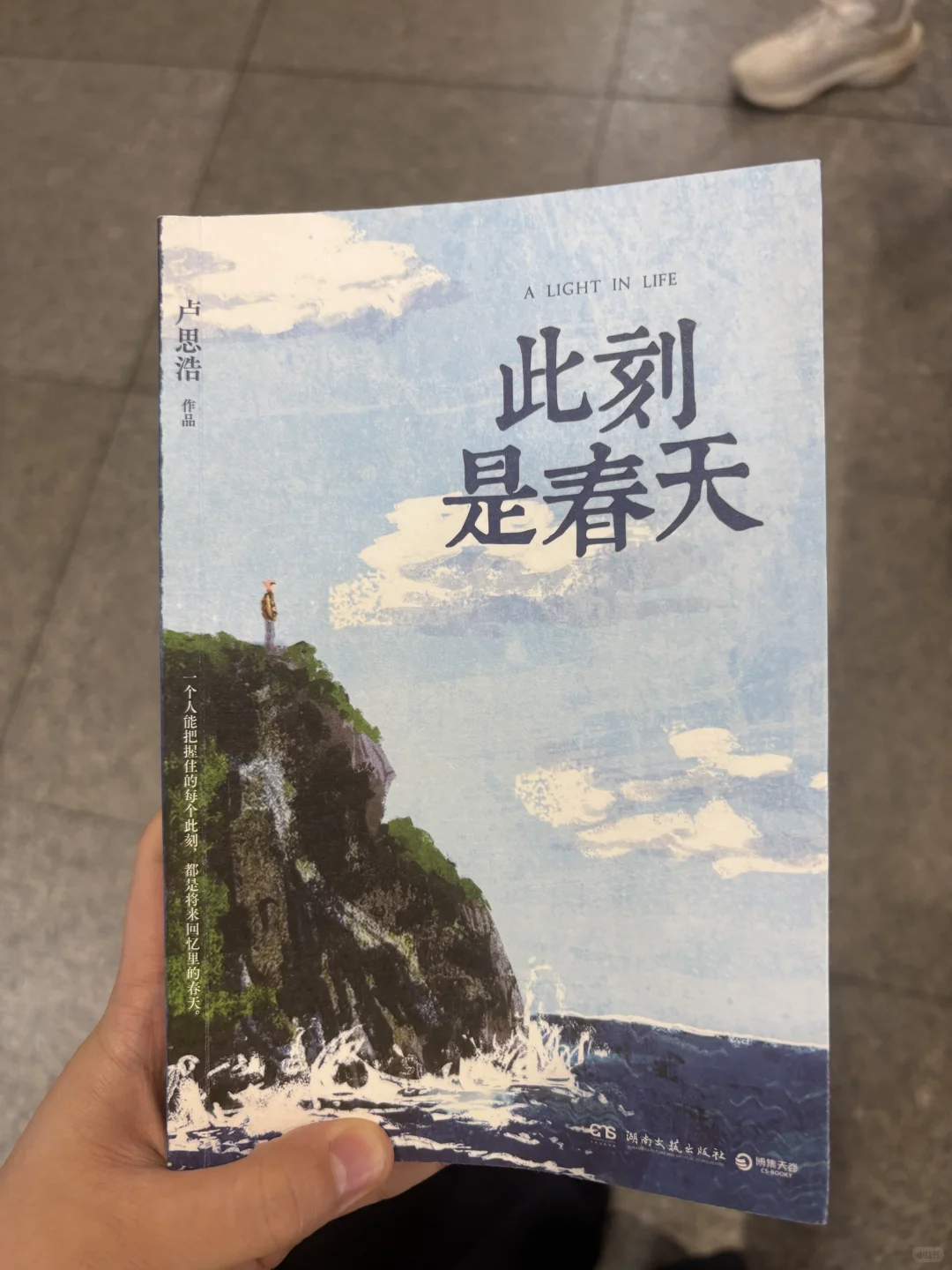 卢思浩的新书看完爆哭