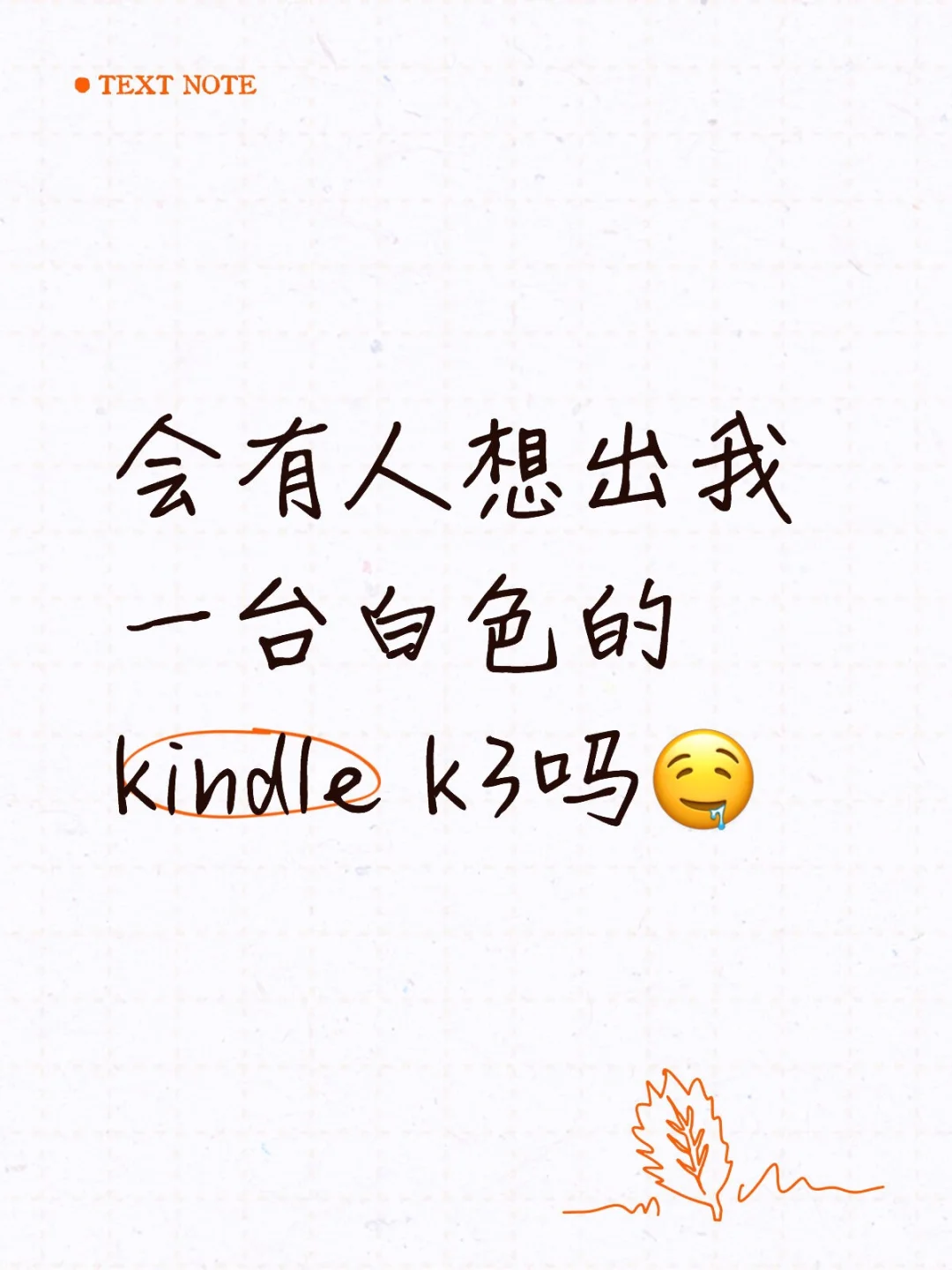 会有人想出我一台白色的kindle k3吗🤤