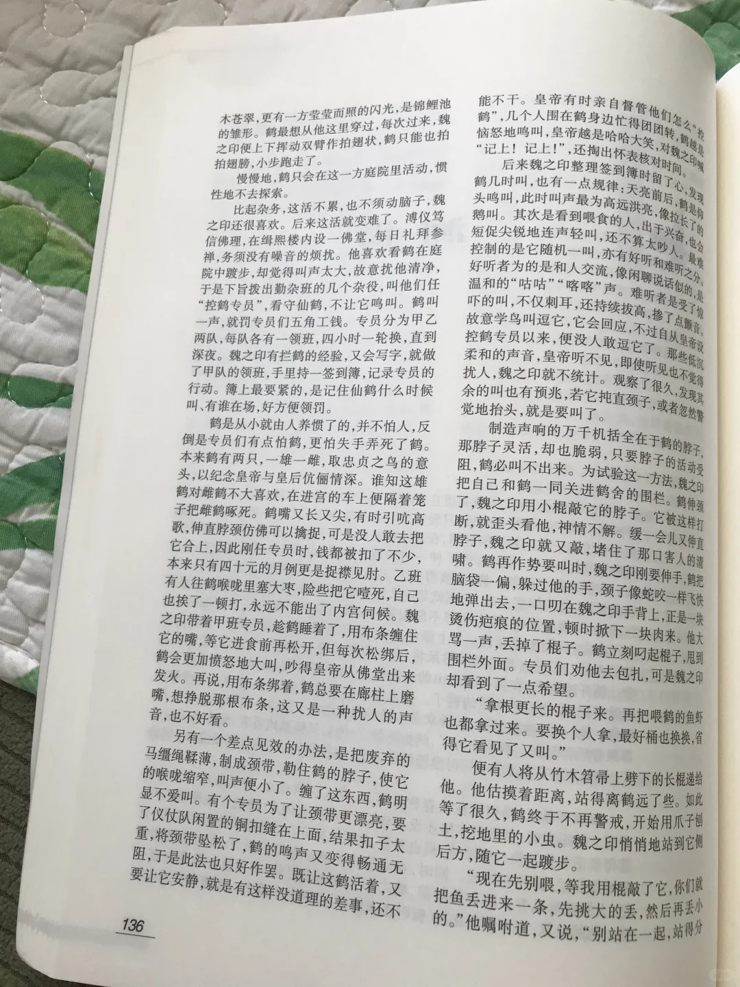 00后的女作家上刊收获