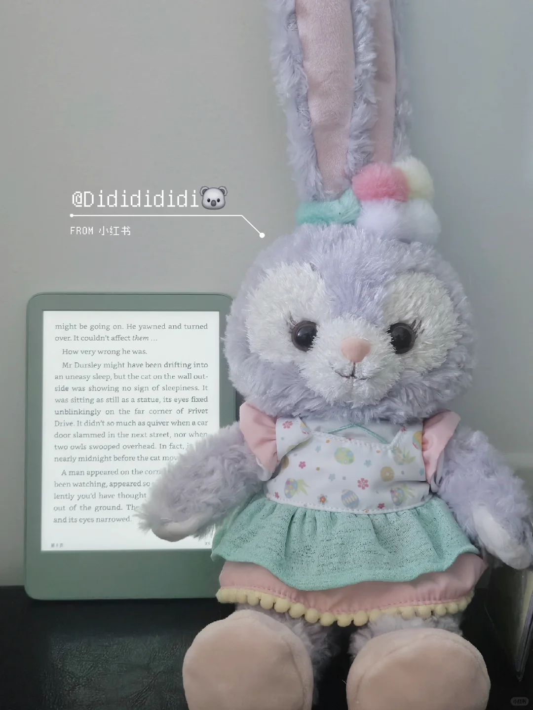 来一杯Kindle新款小抹茶🍵（附官方数据）