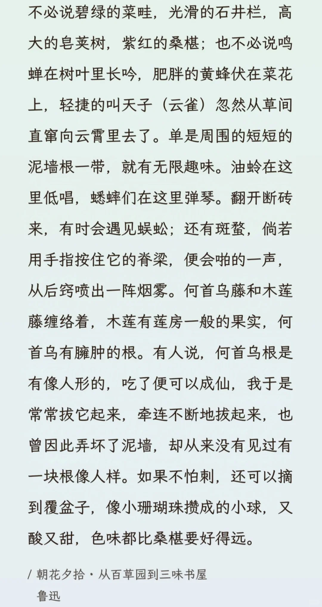 冬日午后阅读鲁迅【朝花夕拾】忆青春