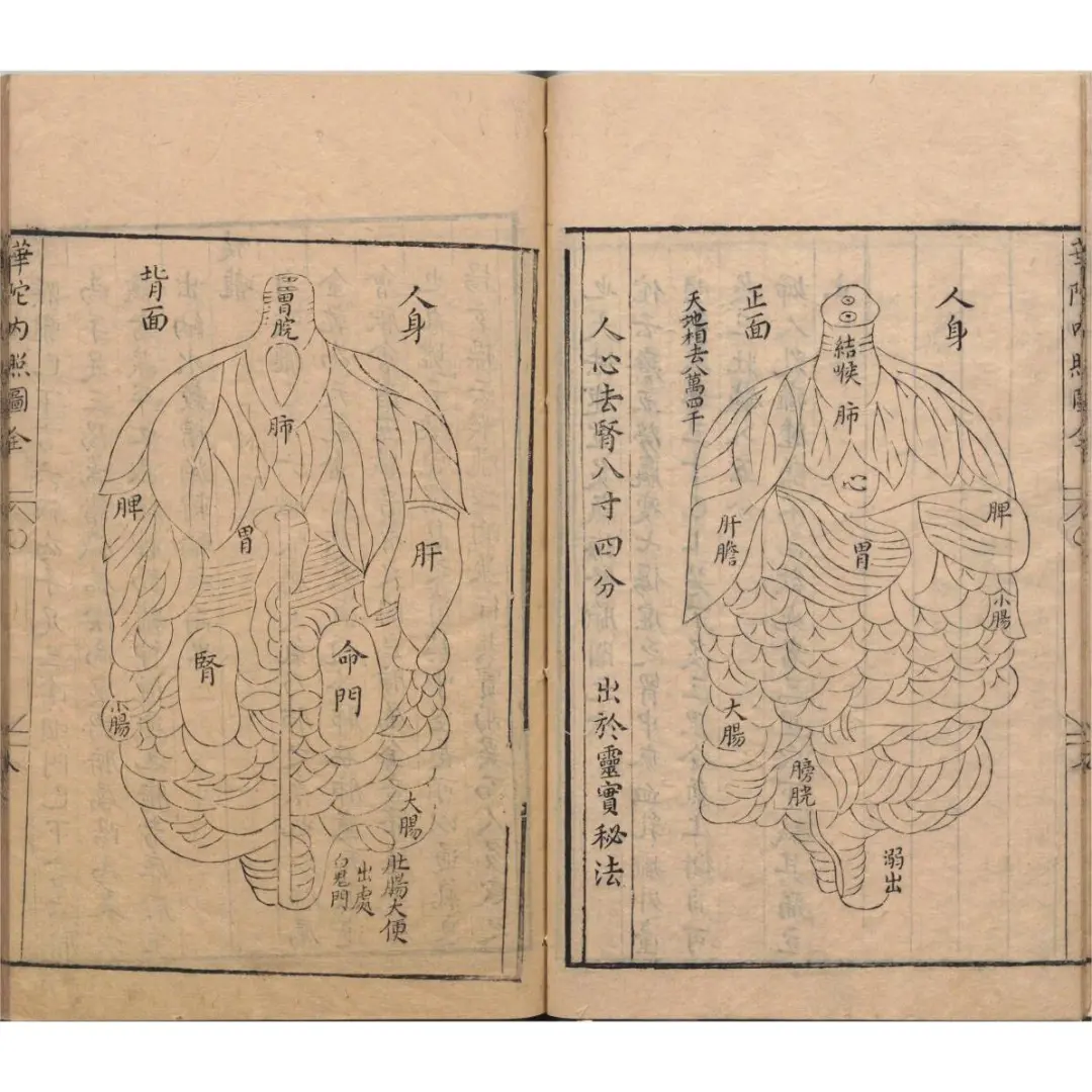 解锁古医智慧：华佗内照图电子书来袭