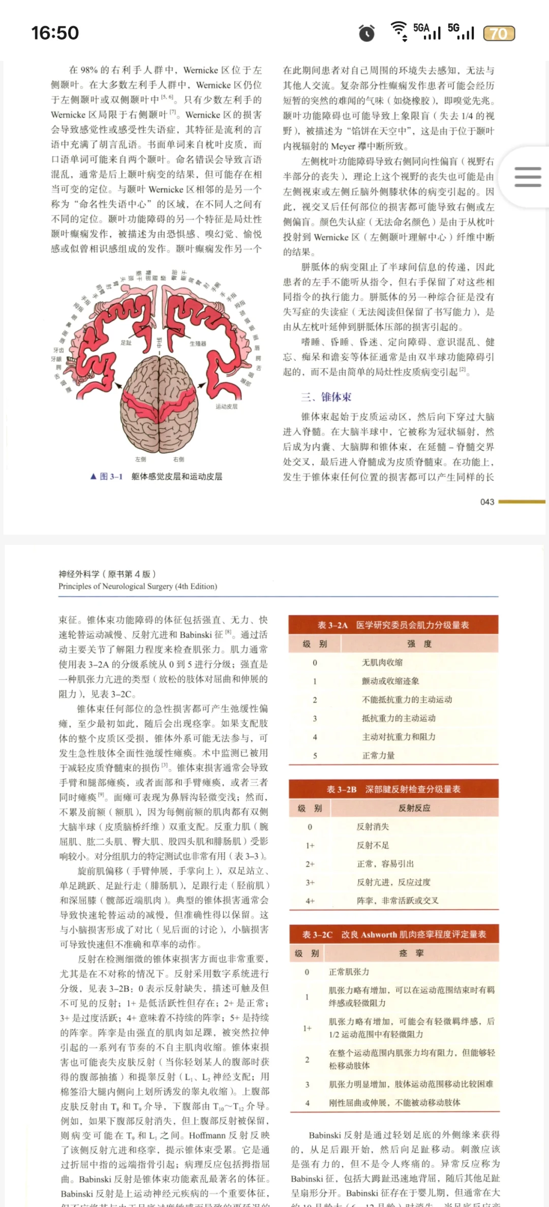 神经外科医生必看新书推荐