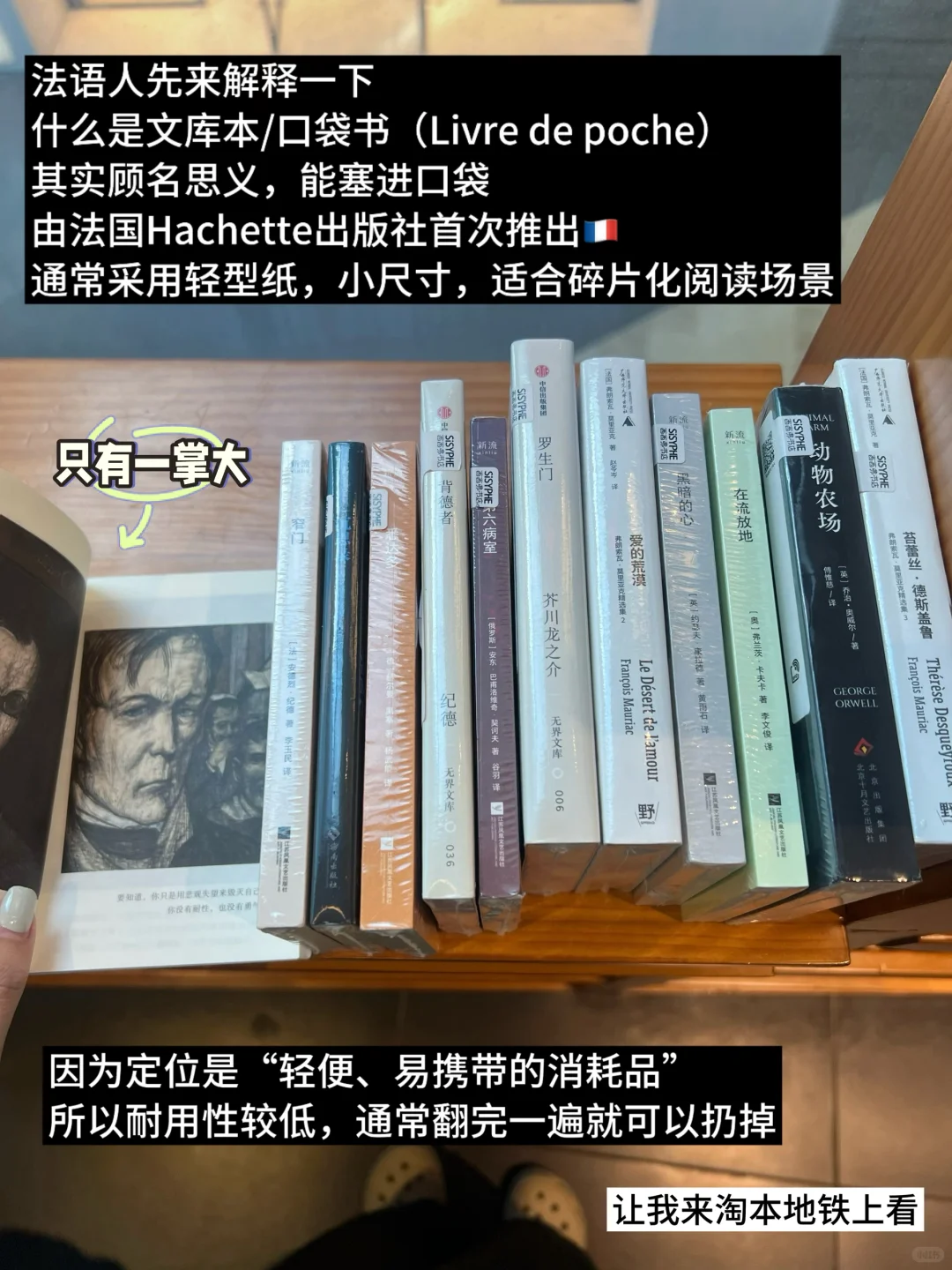 适合通勤路上阅读的📖（附书单）
