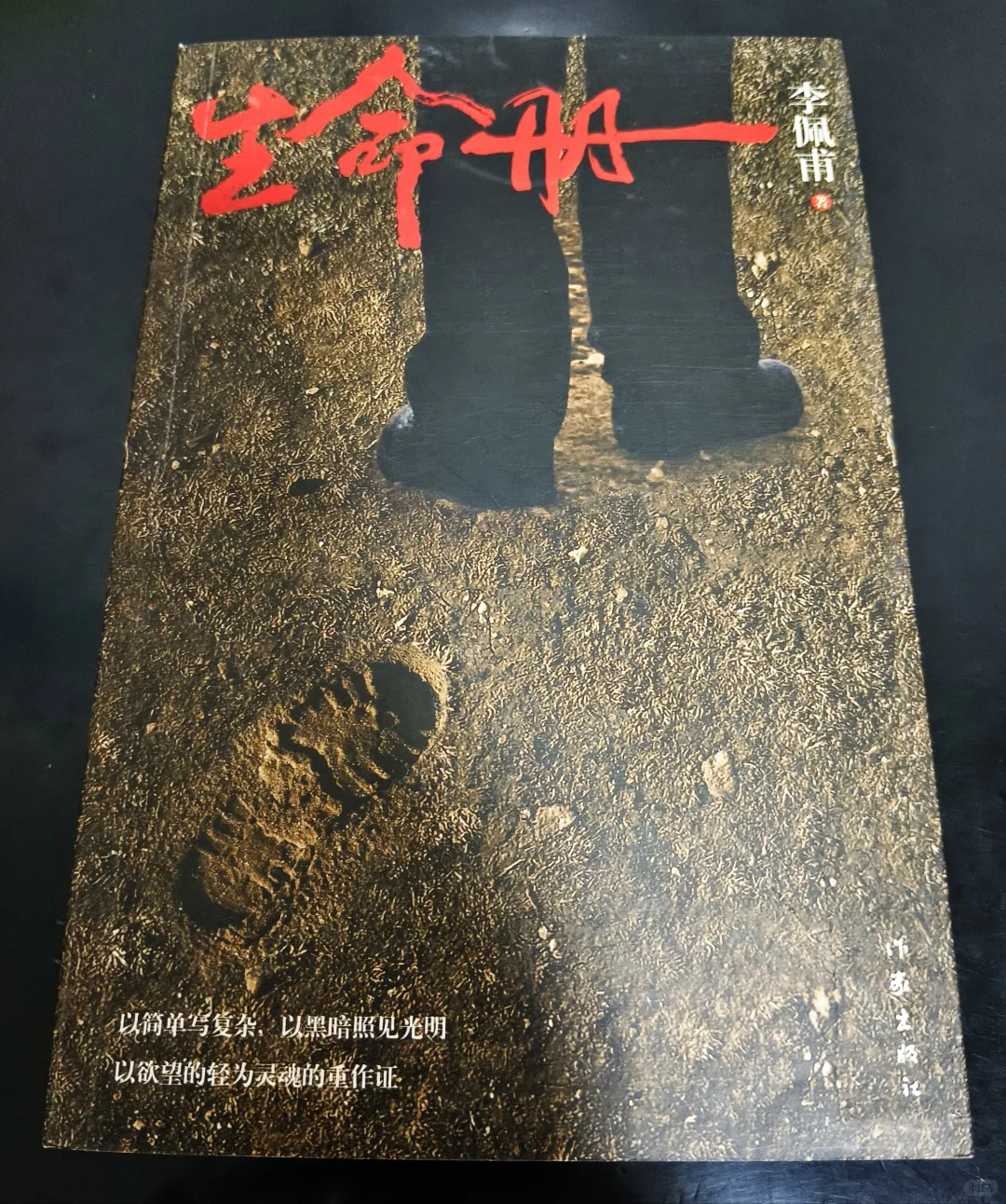 茅奖获奖作品李佩甫《生命册》