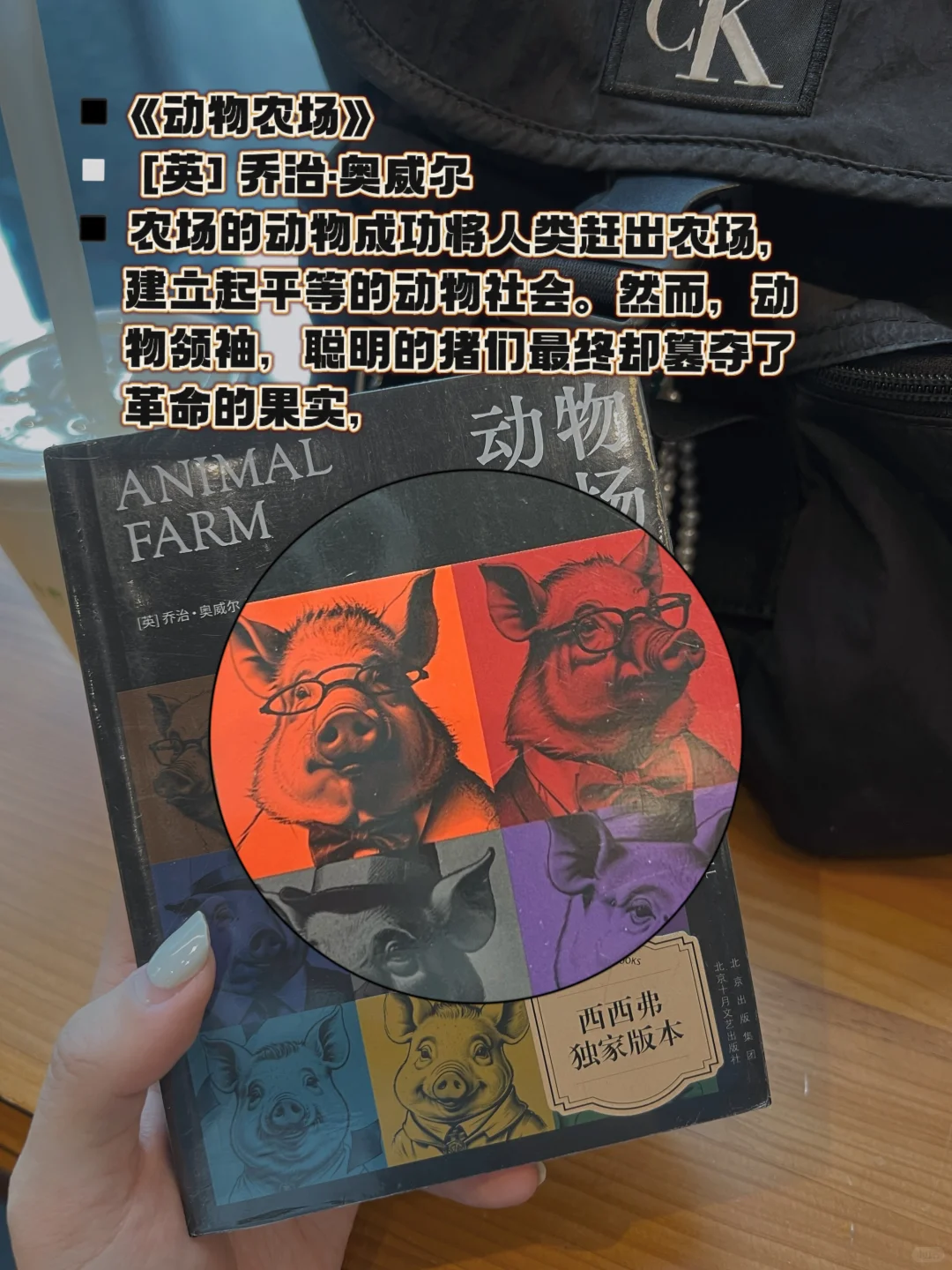适合通勤路上阅读的📖（附书单）