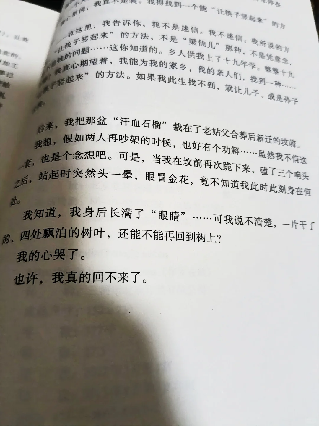 茅奖获奖作品李佩甫《生命册》
