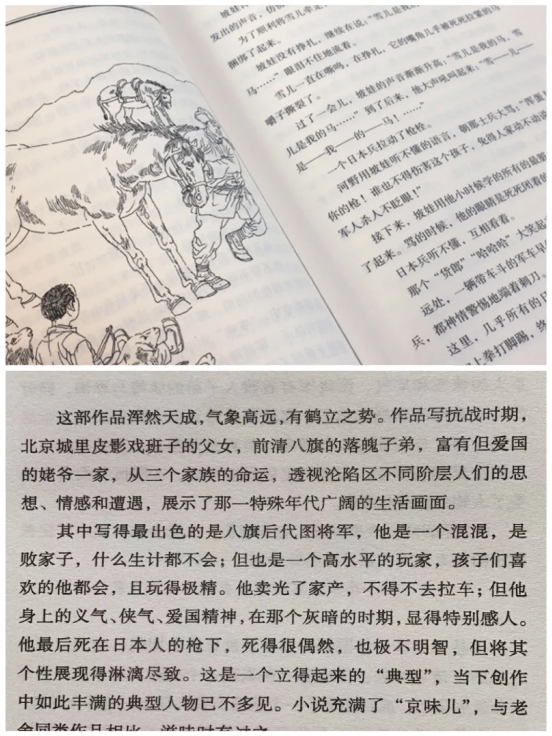 经典原创儿童文学书籍