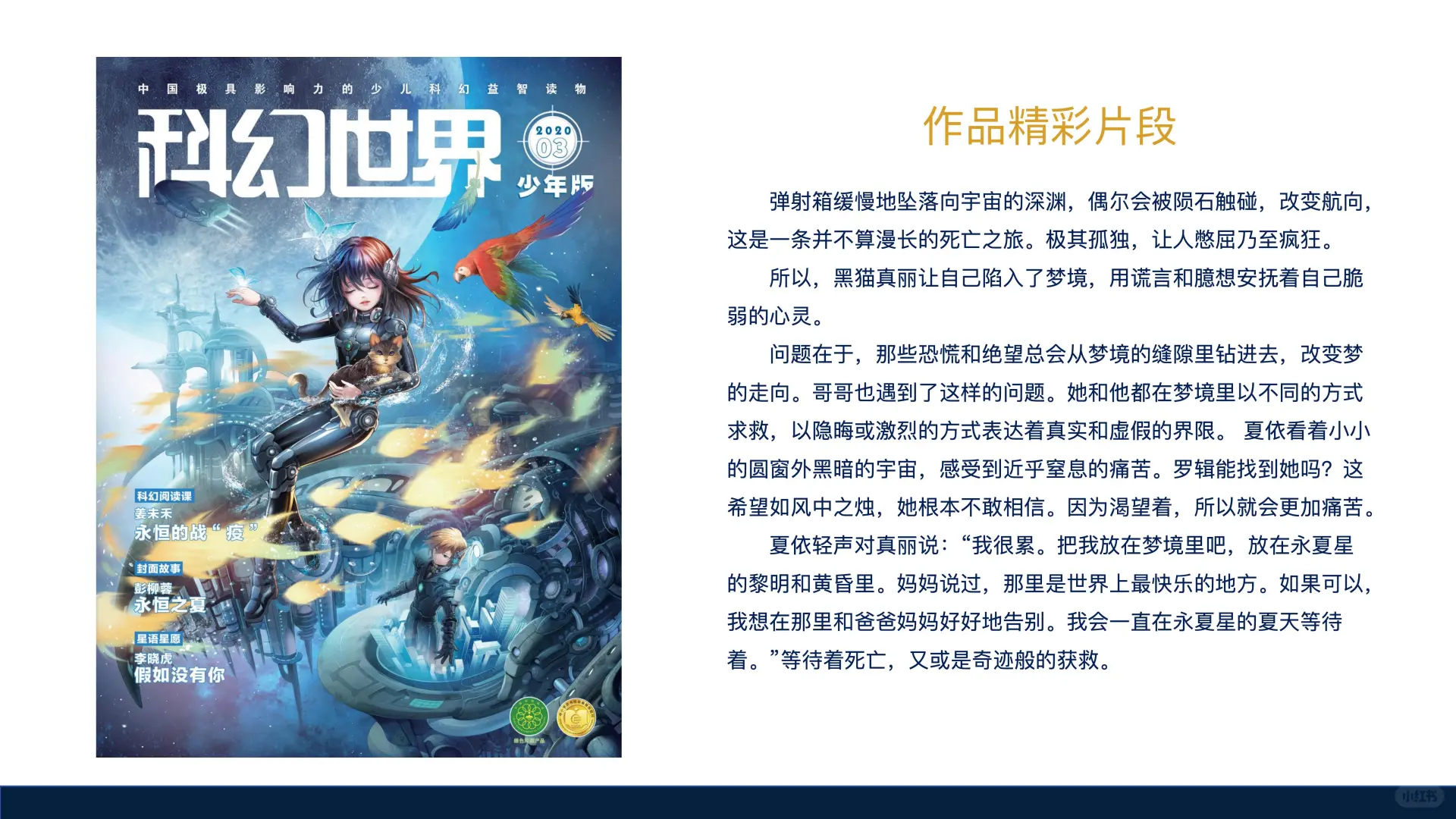 永恒之夏｜真实与梦境之间的生命沉思