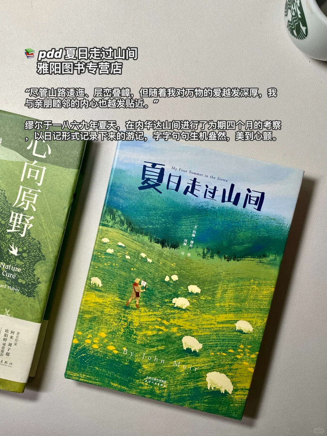PDD夏日书单｜容易浮躁的姐妹翻烂这些书