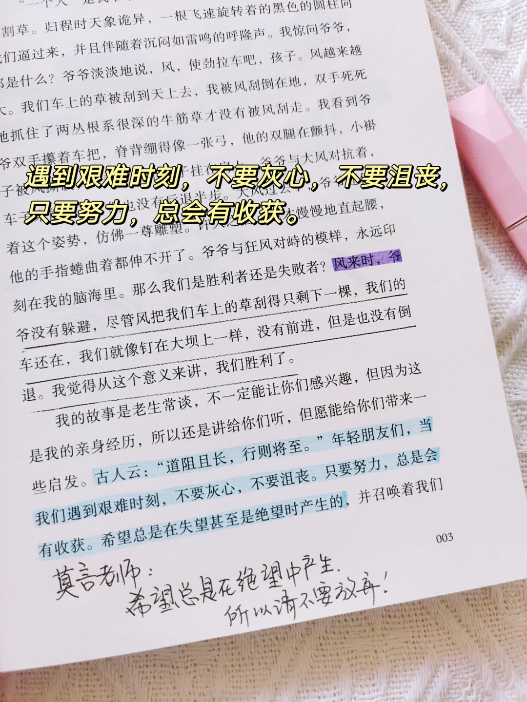 低谷期一定要看莫言的新书《不被大风吹到》
