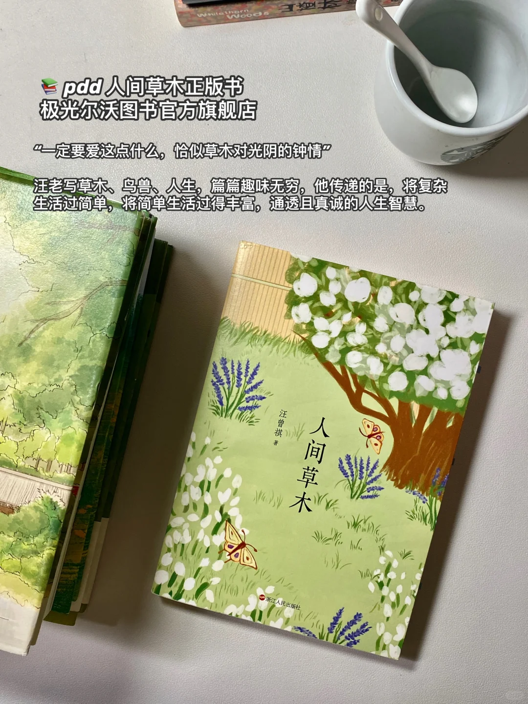 PDD夏日书单｜容易浮躁的姐妹翻烂这些书