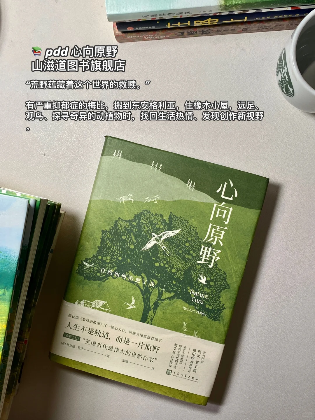 PDD夏日书单｜容易浮躁的姐妹翻烂这些书