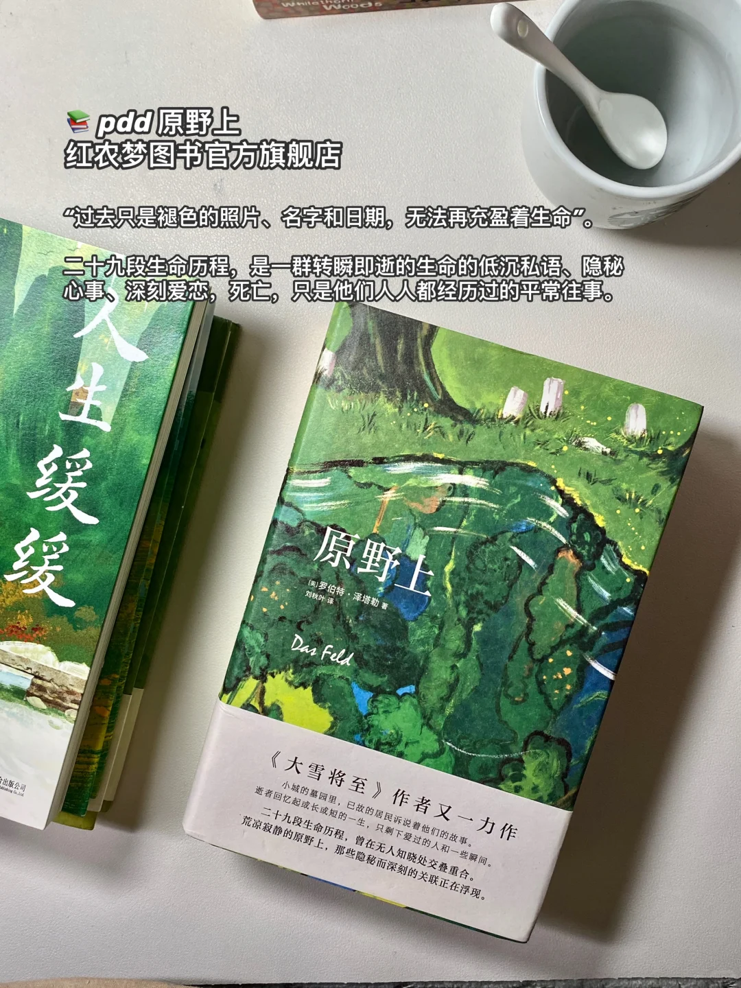 PDD夏日书单｜容易浮躁的姐妹翻烂这些书