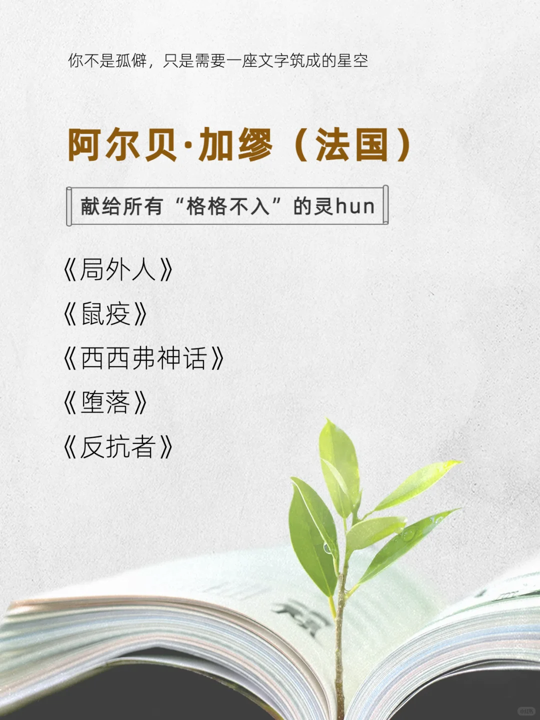 这8位作家的书，请infp往烂了读！！！
