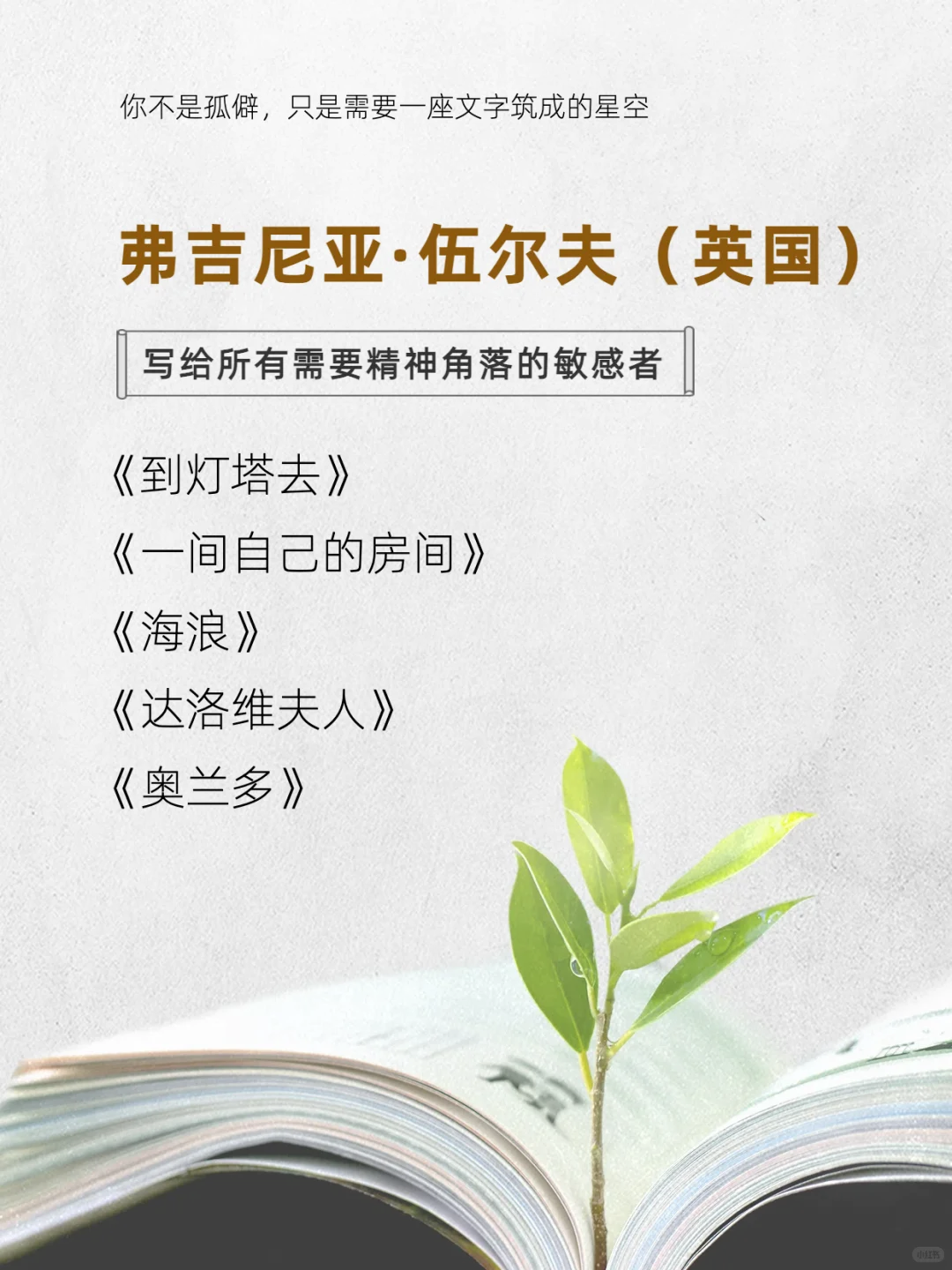 这8位作家的书，请infp往烂了读！！！