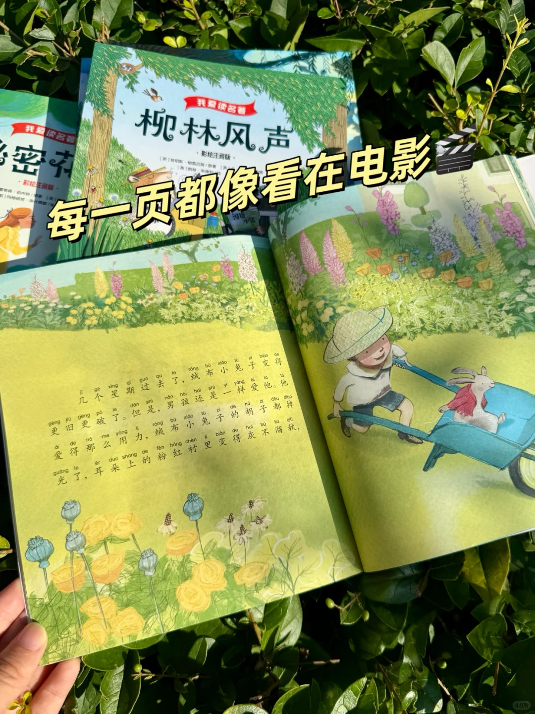 一二年级刷阅读量首选👍爆款注音桥梁书