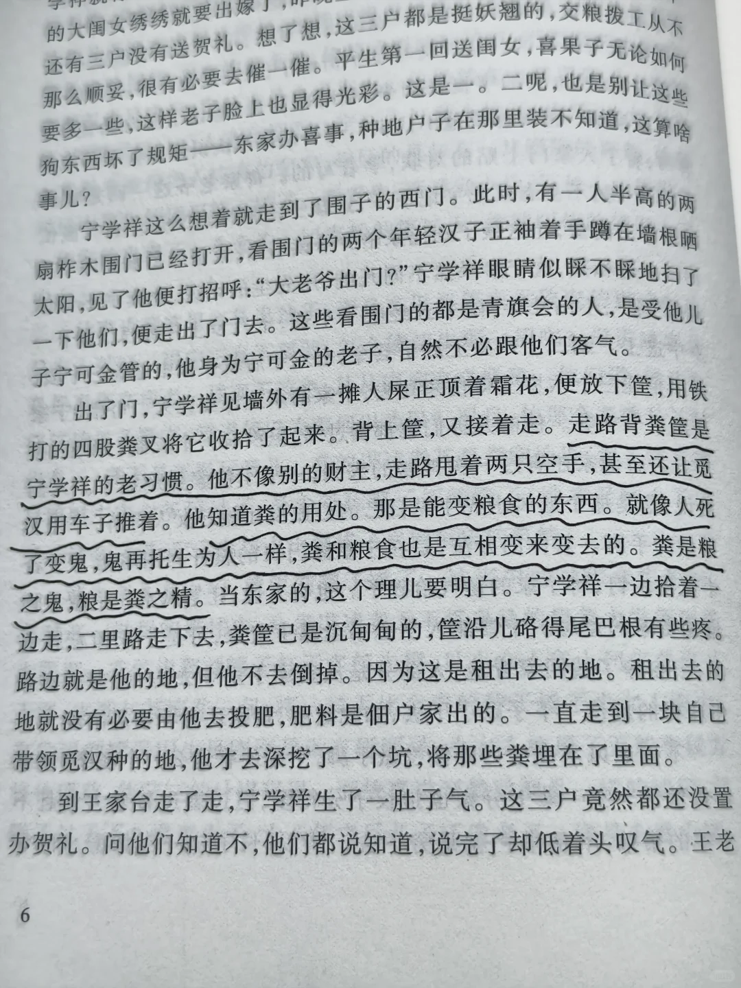 电视剧《生万物》原著