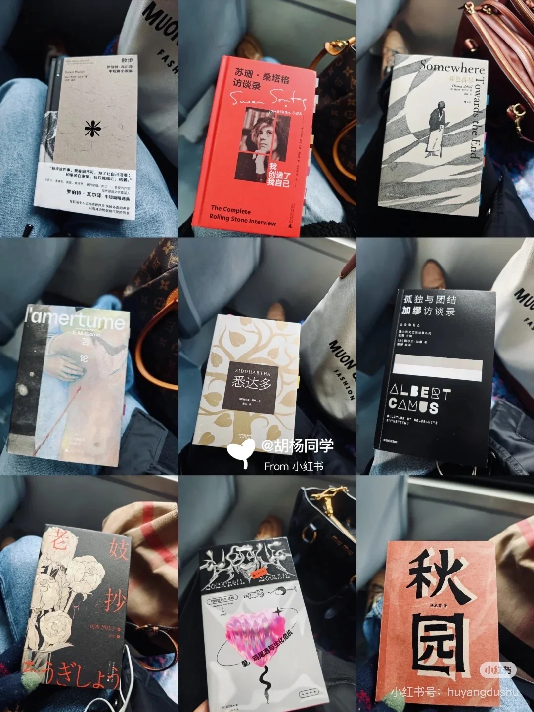 打工人通勤书单｜当我在路上读书2.5年～