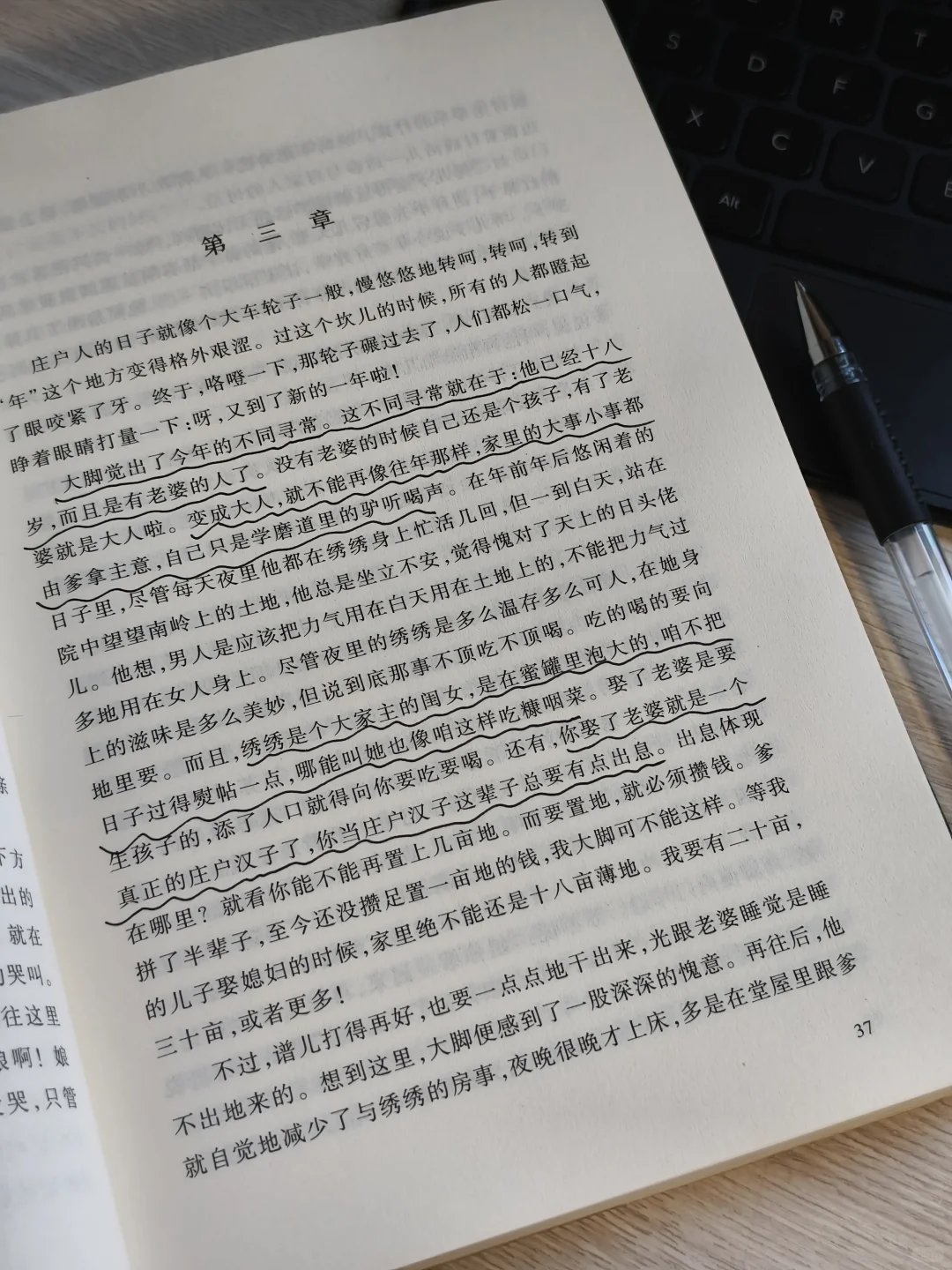 电视剧《生万物》原著