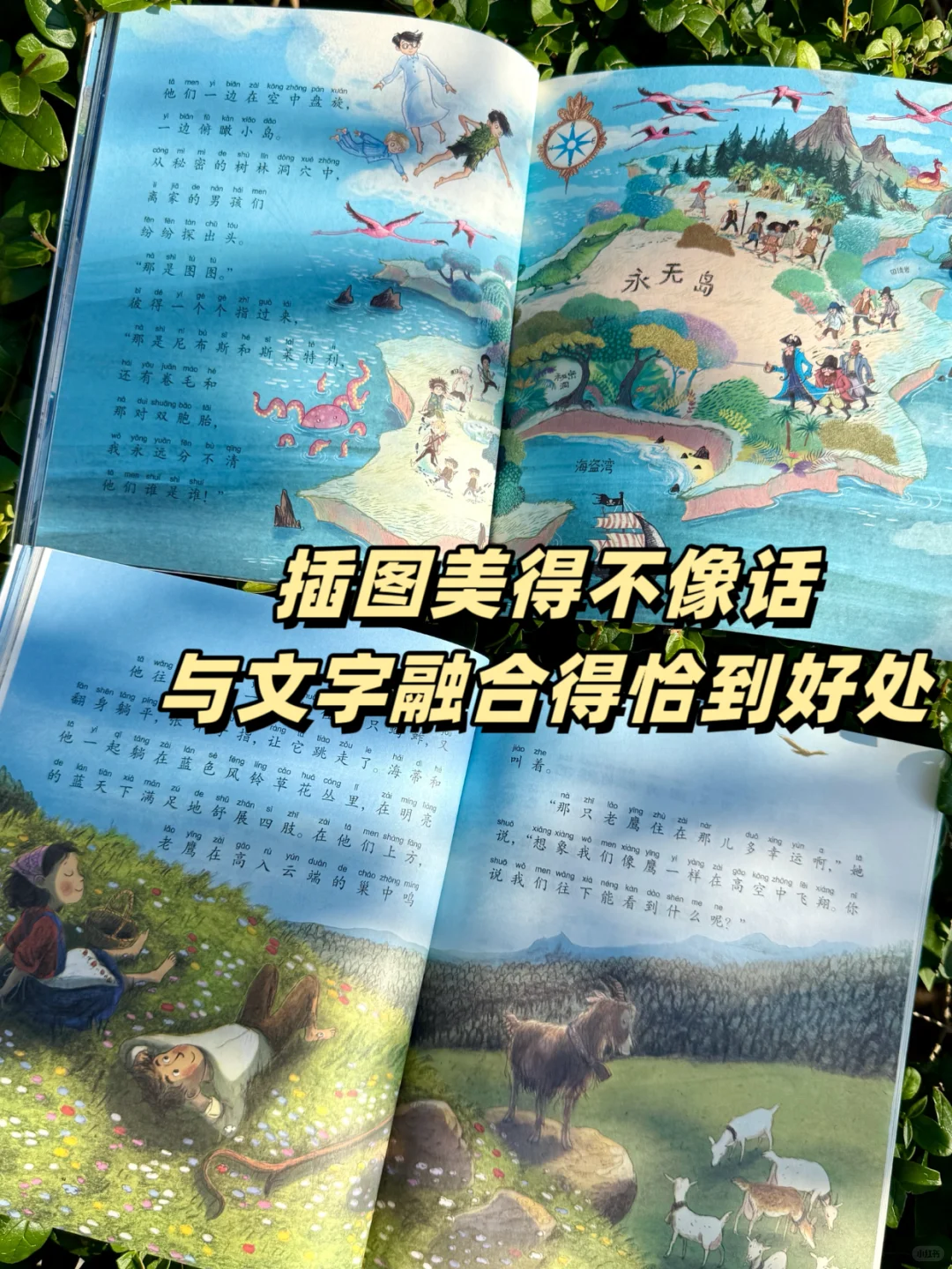 一二年级刷阅读量首选👍爆款注音桥梁书