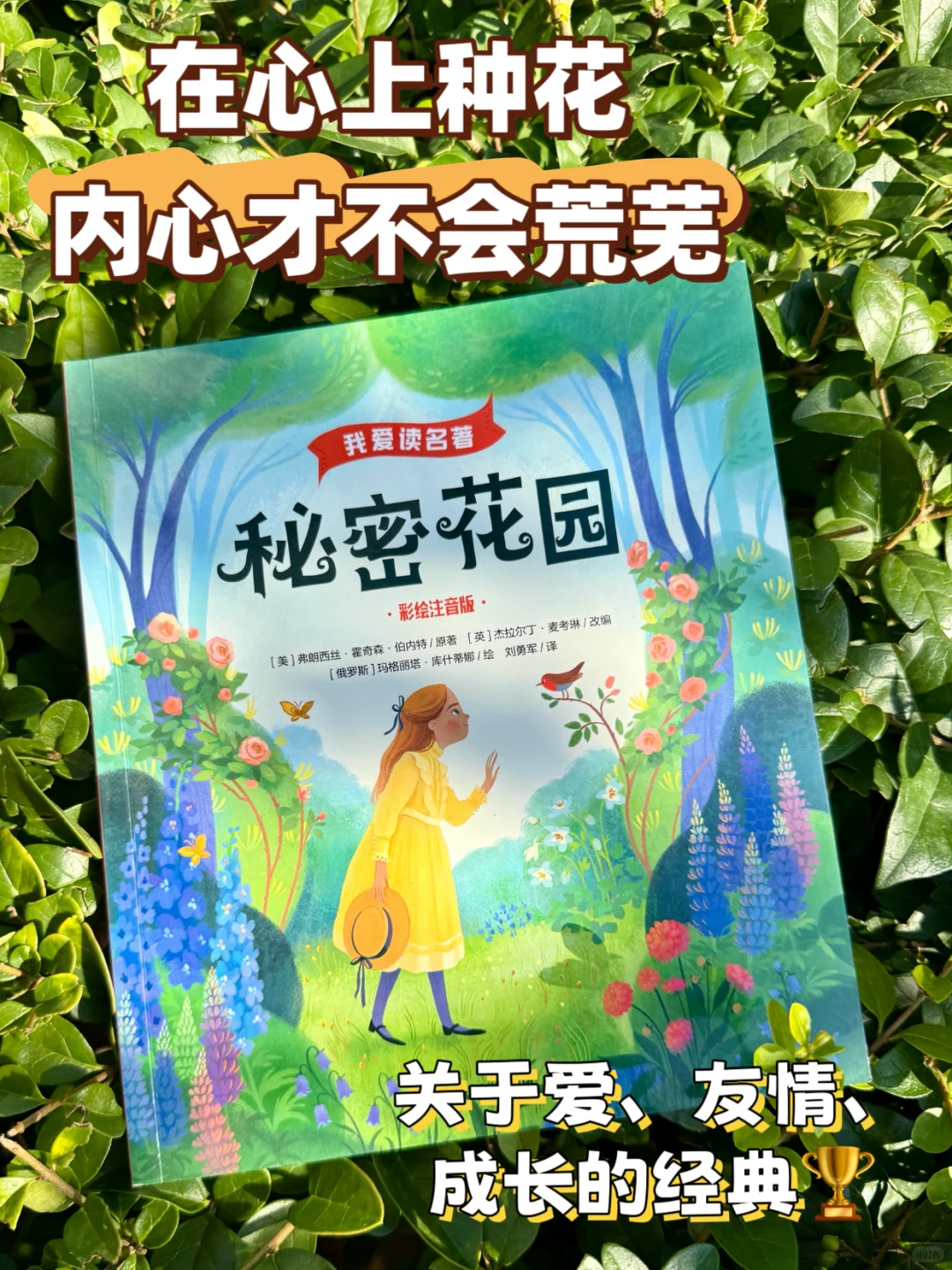 一二年级刷阅读量首选👍爆款注音桥梁书