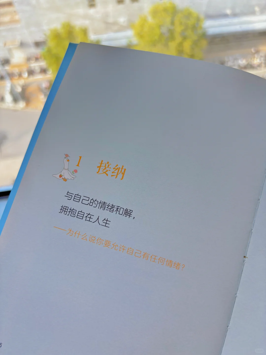 2025必读治愈好书📖不让所有人满意又怎样