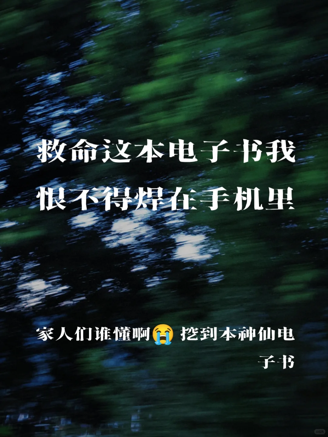 救命！这本电子书我恨不得焊在手机里！！