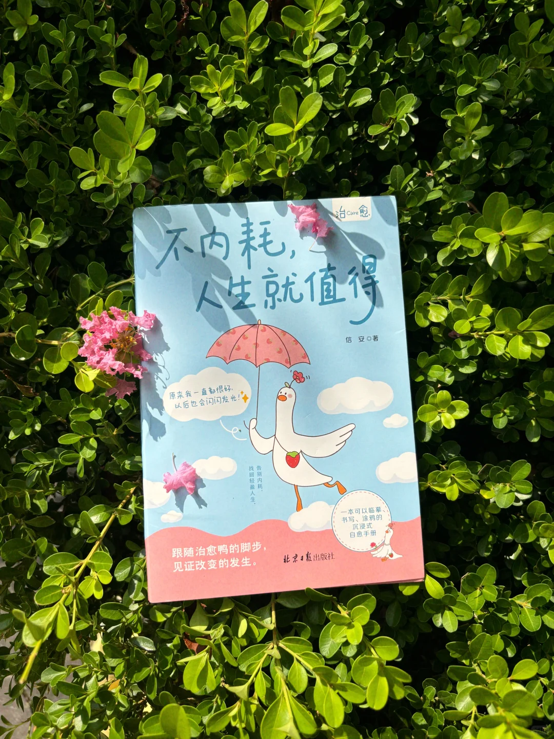2025必读治愈好书📖不让所有人满意又怎样