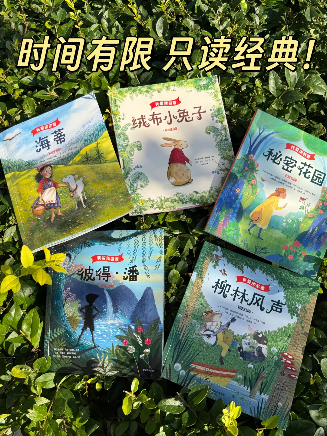 一二年级刷阅读量首选👍爆款注音桥梁书